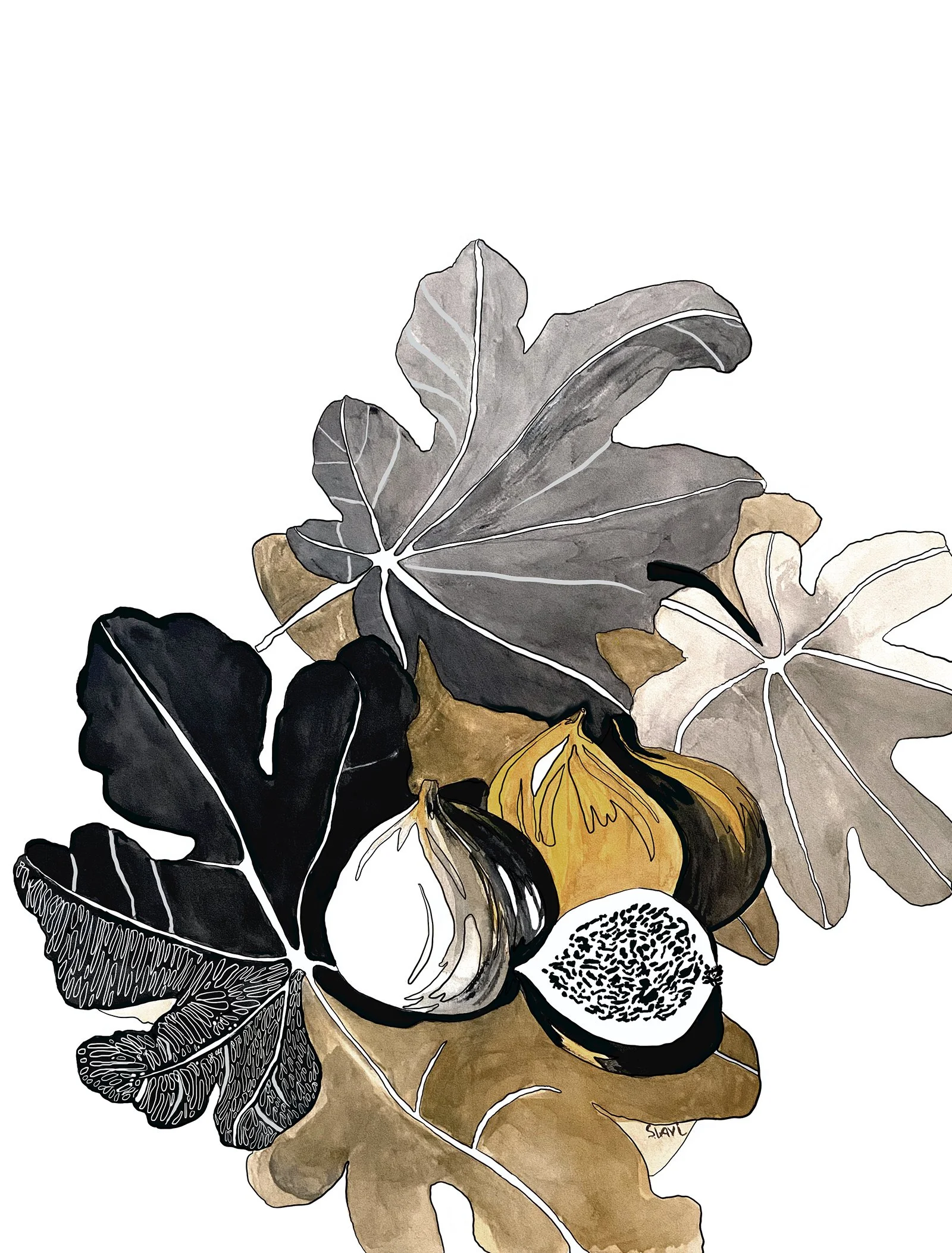 Fig i love A 1600.jpg