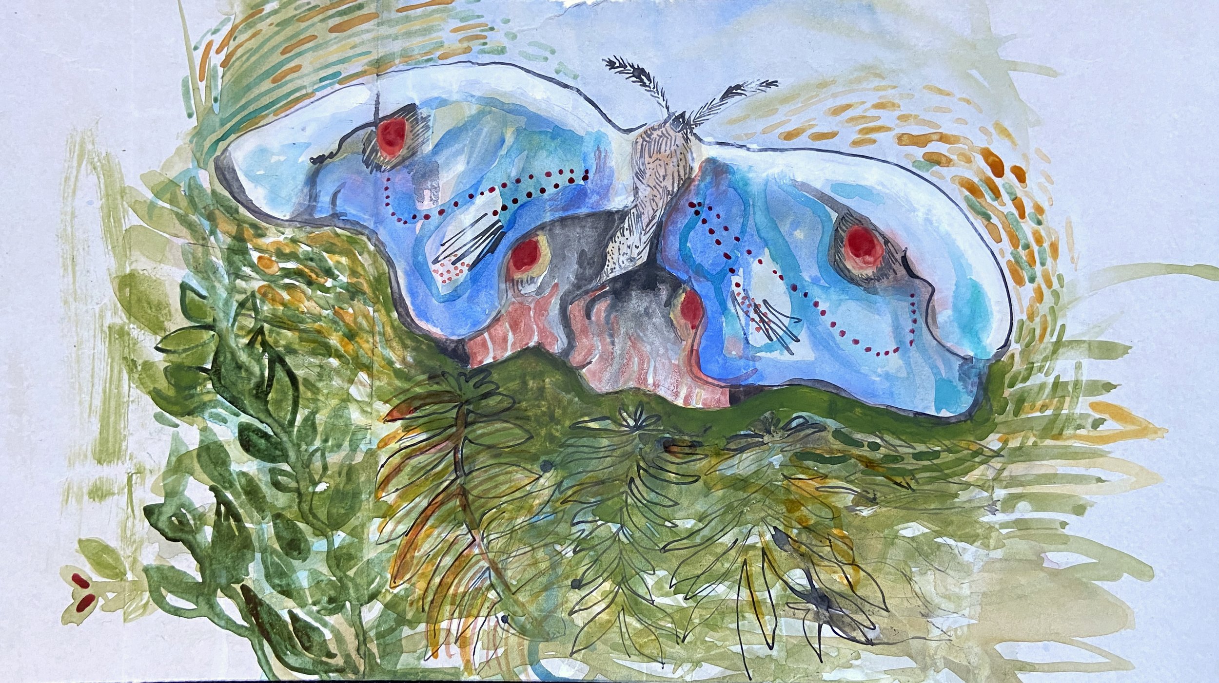 A moth with blue wings on the green plants