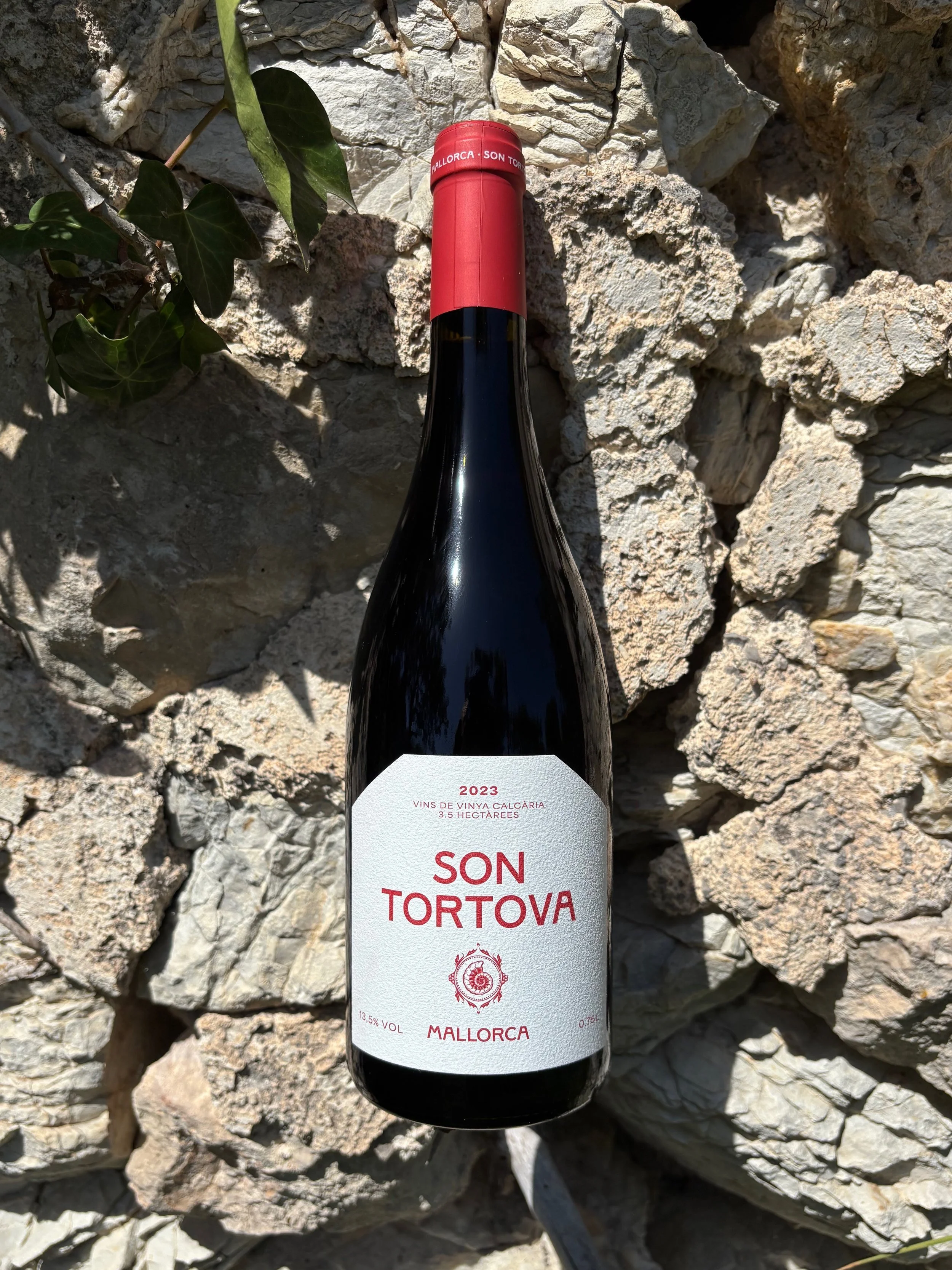 Son+Tortova+2023.jpg