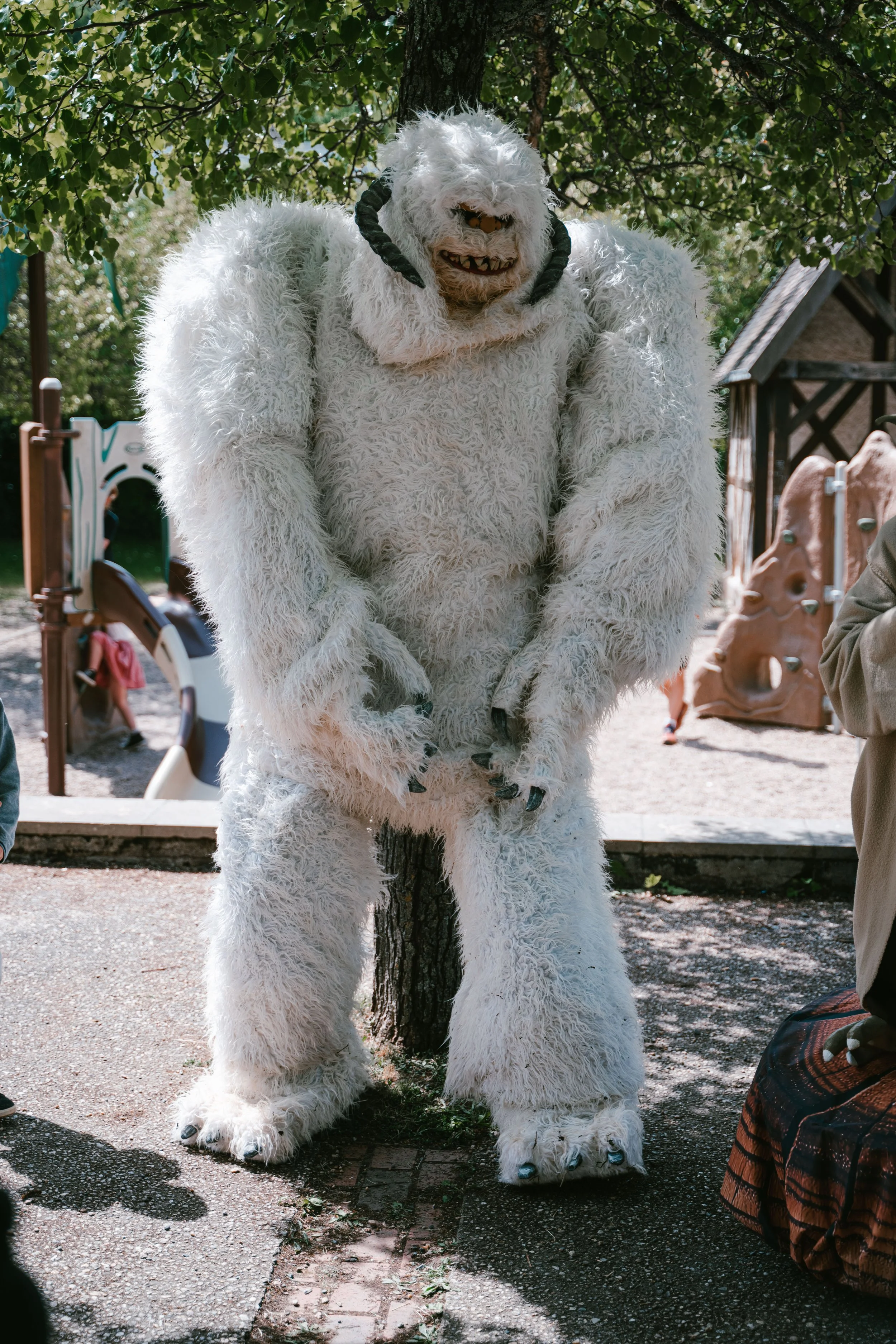 DSC_0393.jpg