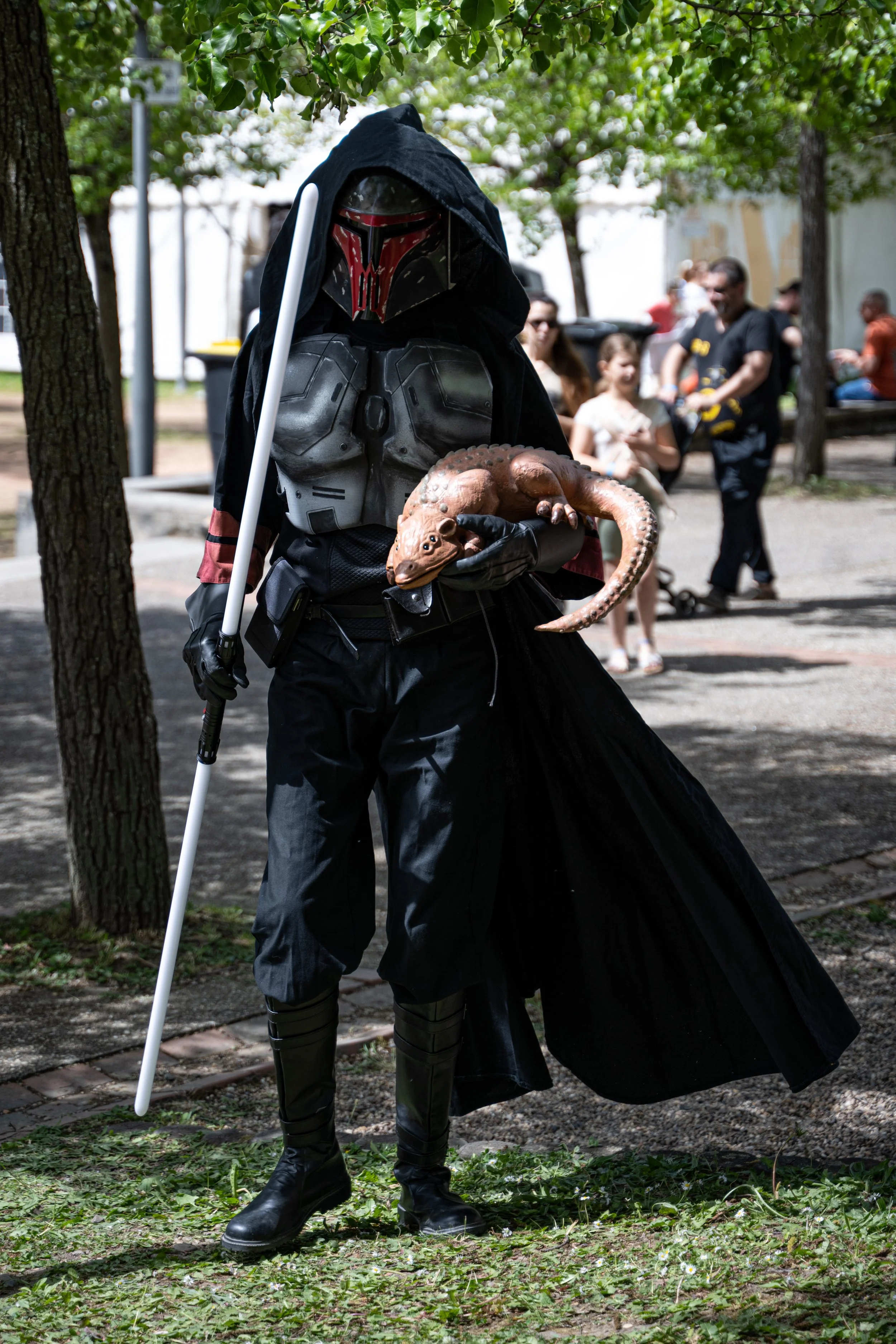 DSC_0390.jpg