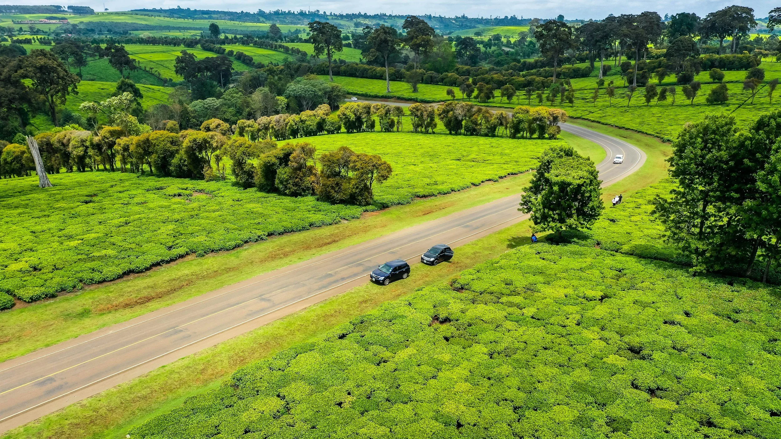 Green rolling hills with cultivated fields, trees lining the landscape, a winding road with a few cars, and a horse grazing.