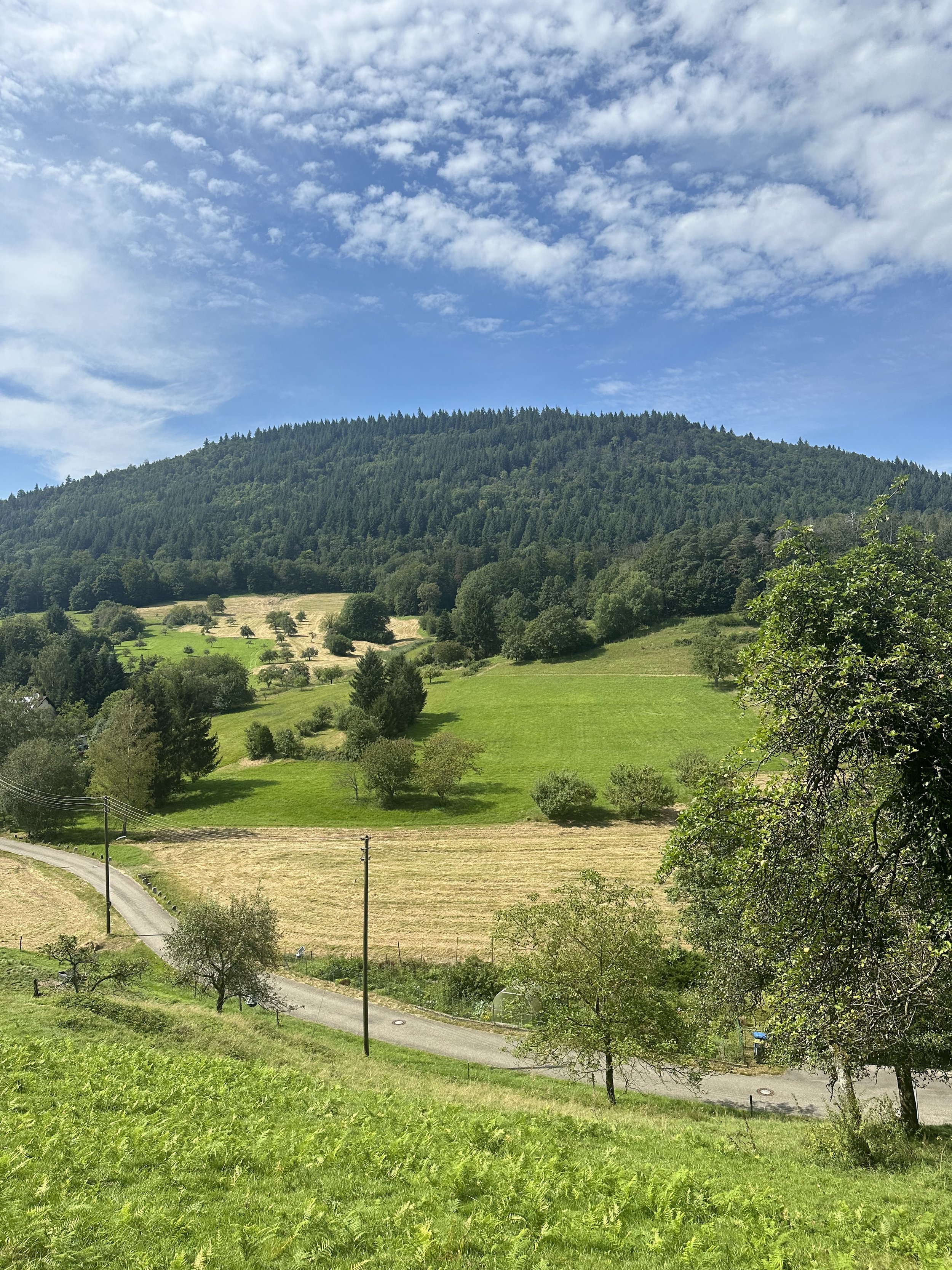 IMG_1481.jpeg