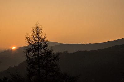 Dawn Chorus River Pool Swim, £30
