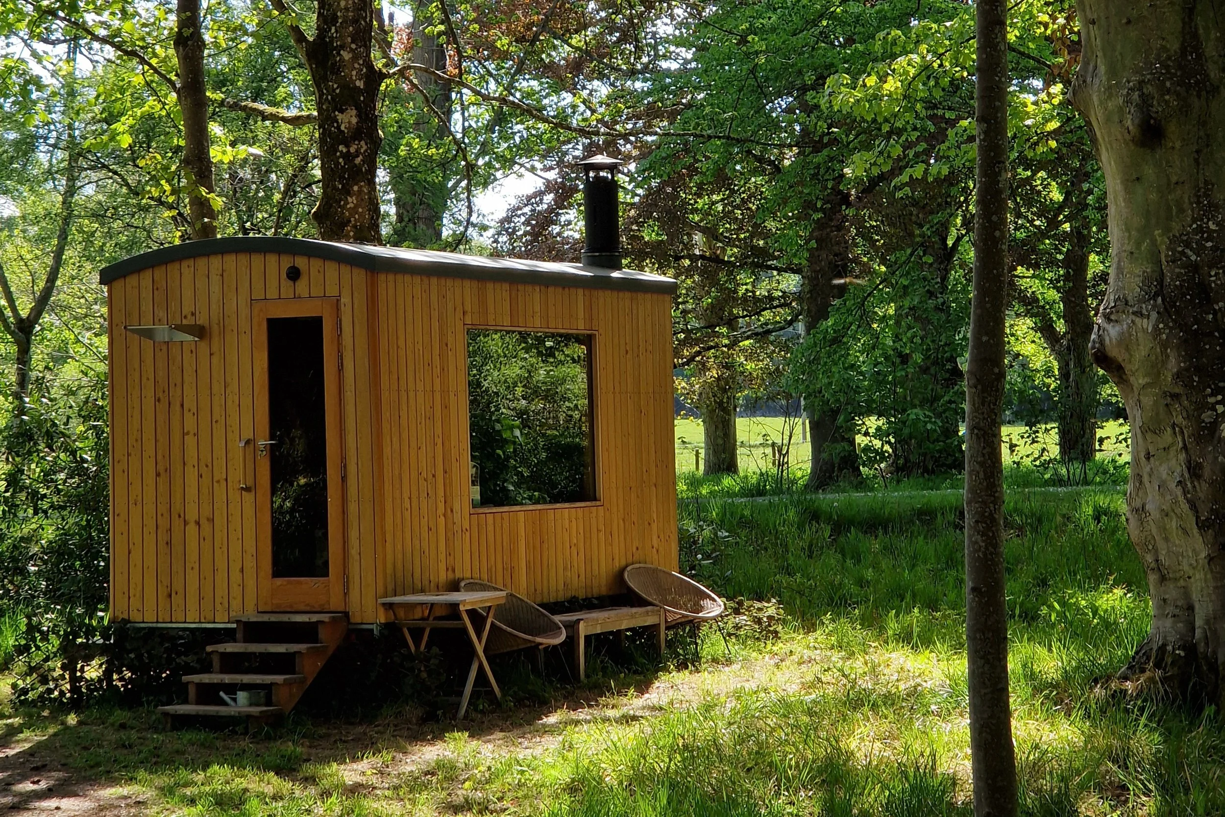 Morning Retreat in Nature with River Swim and Sauna, £48