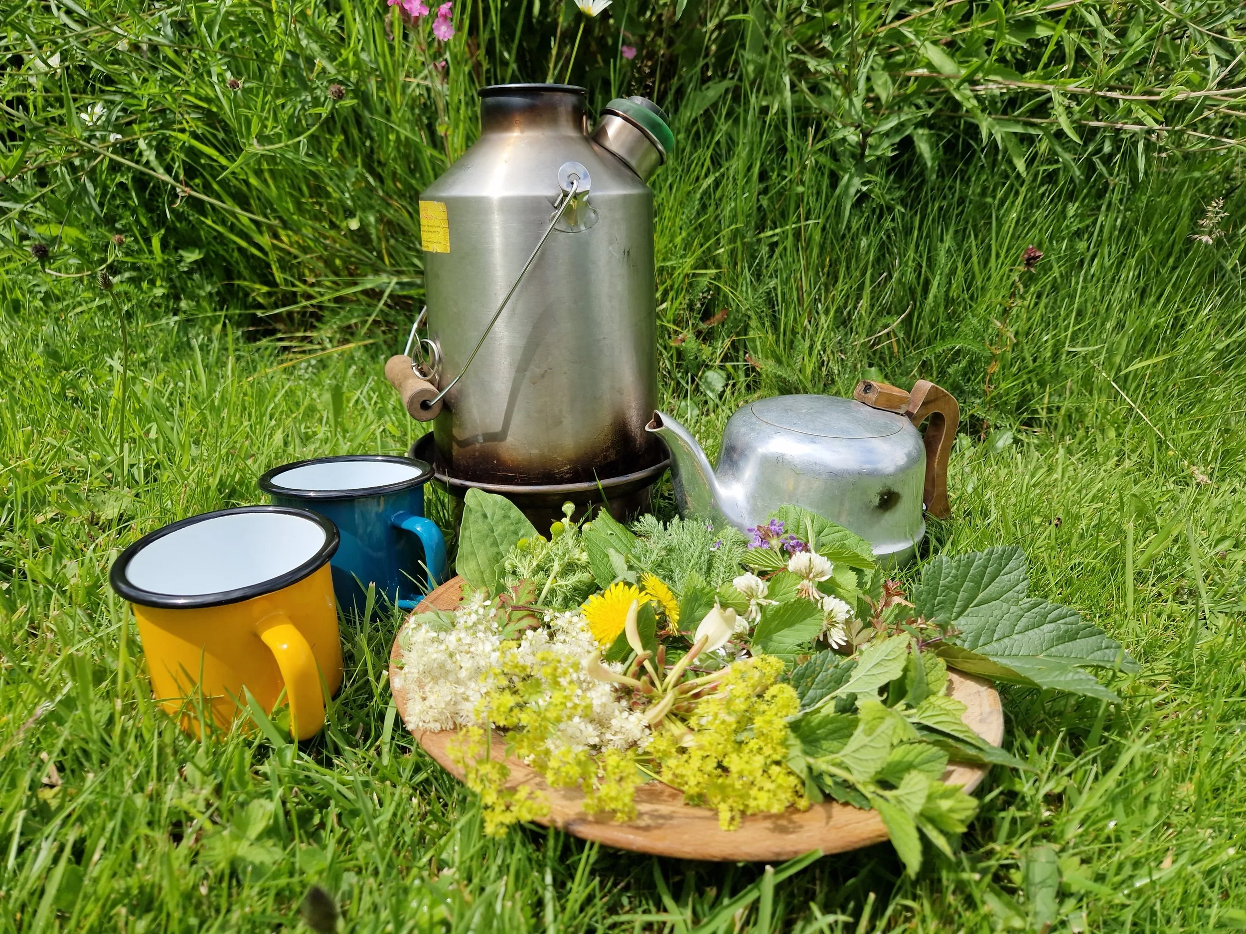 Forage in Nature with Sauna at Traquair House, £48