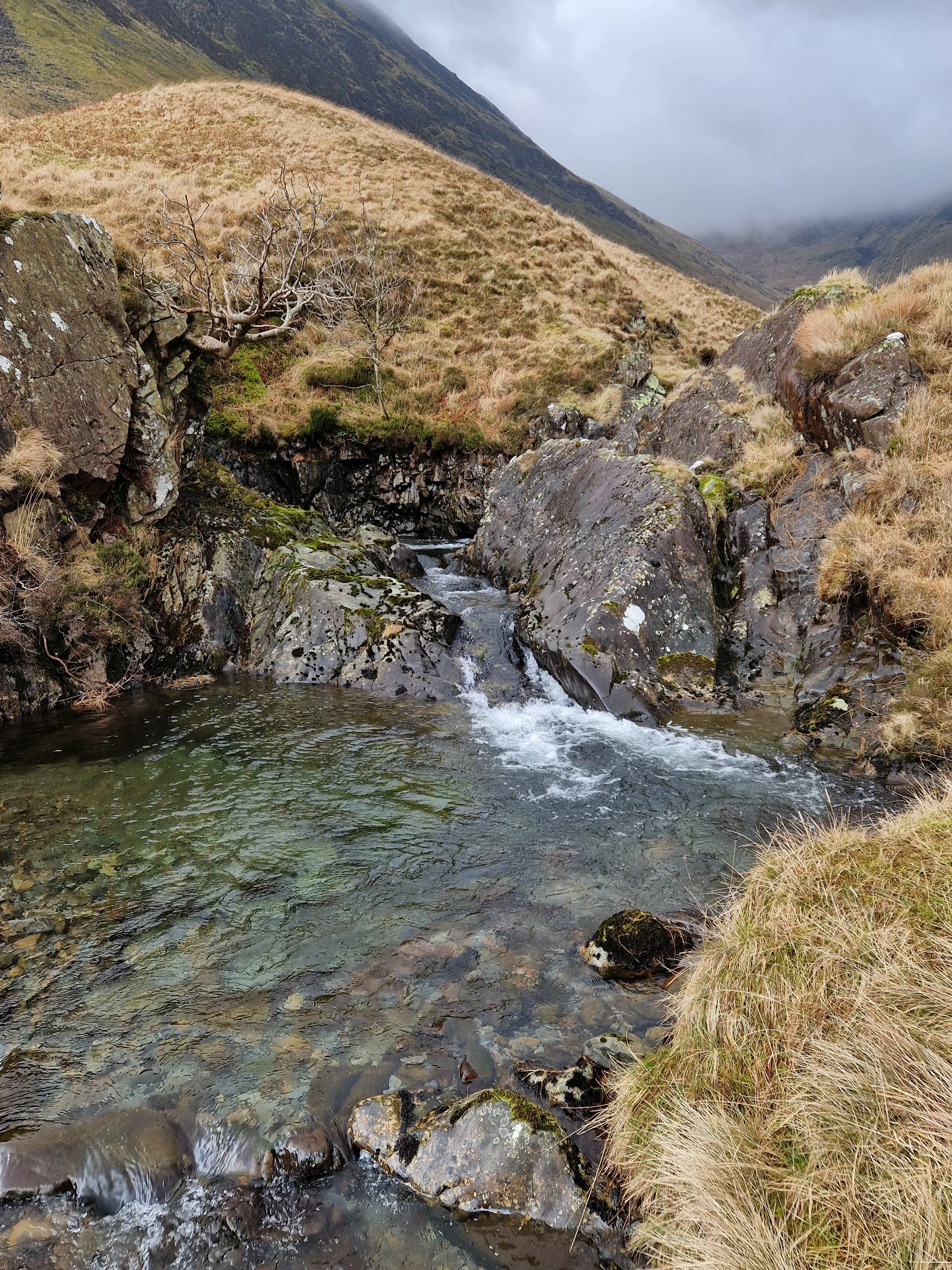 Forage the Falls, £65