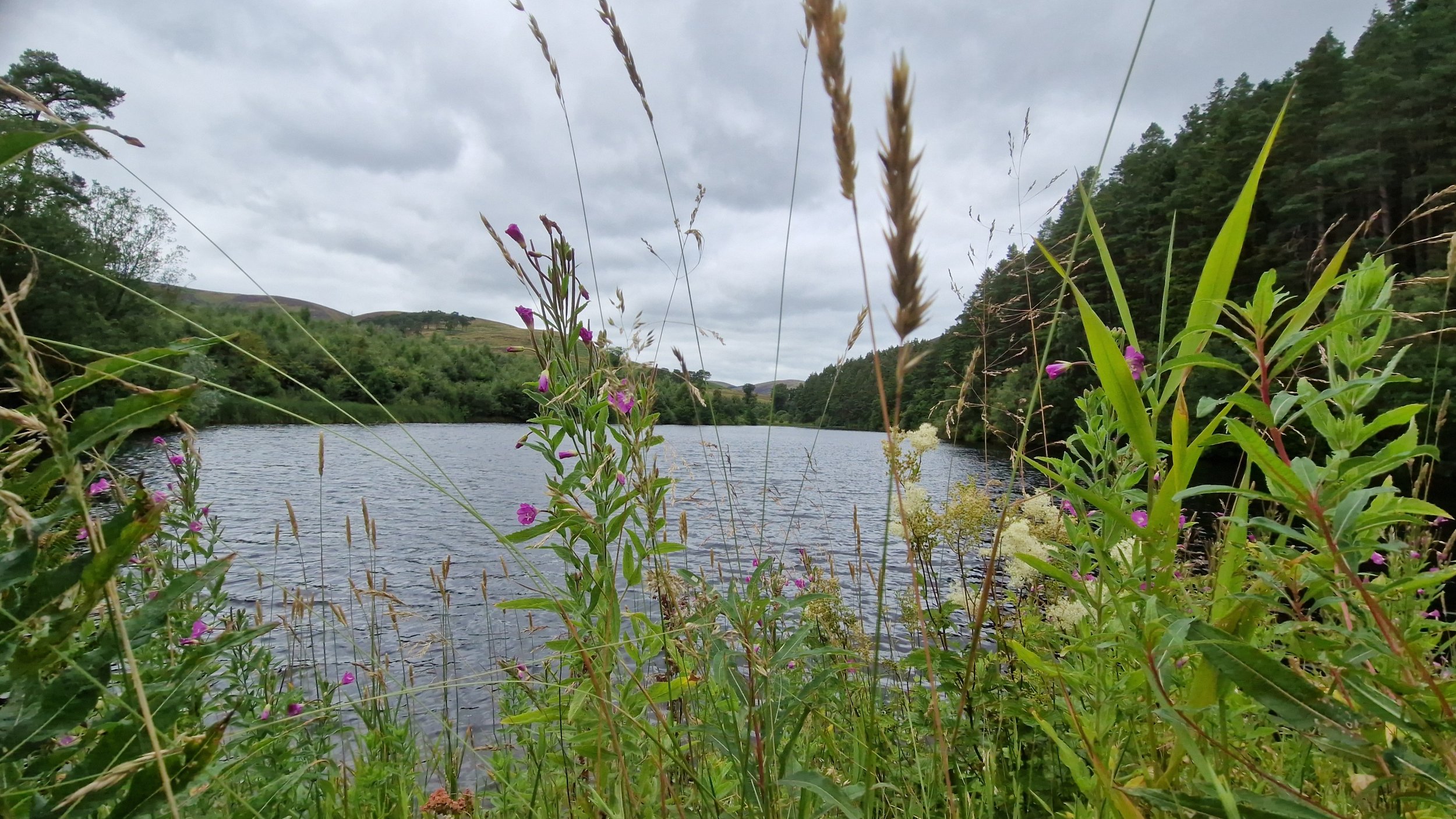 Autumn Colour Swim Adventure, £42