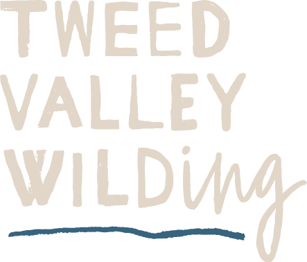 Tweed Valley Wilding