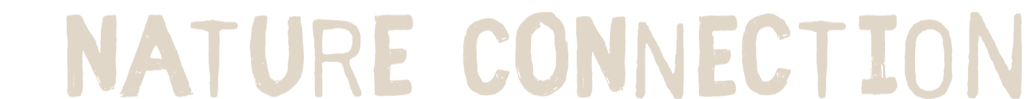 Nature Connection