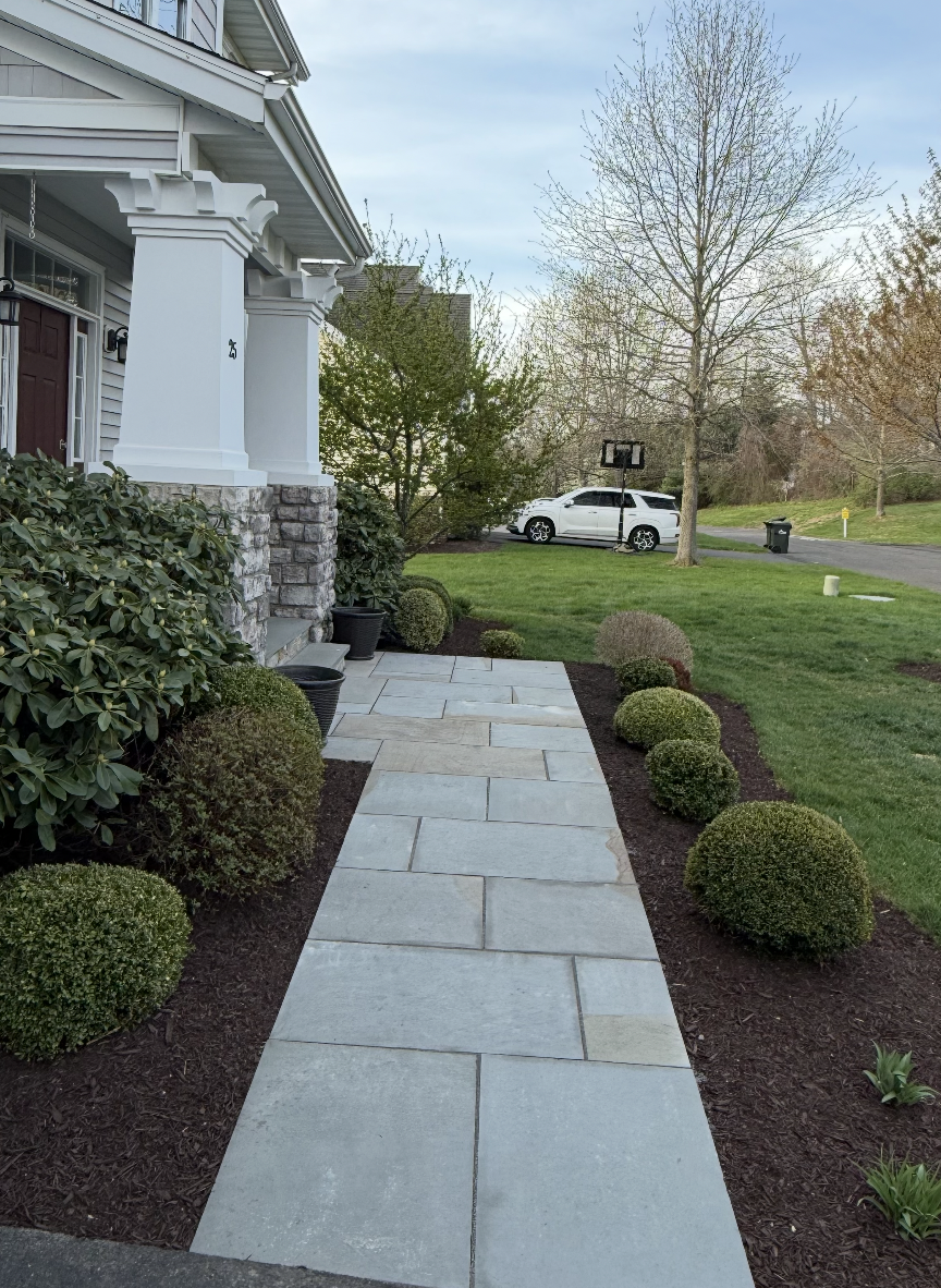 entry path.png