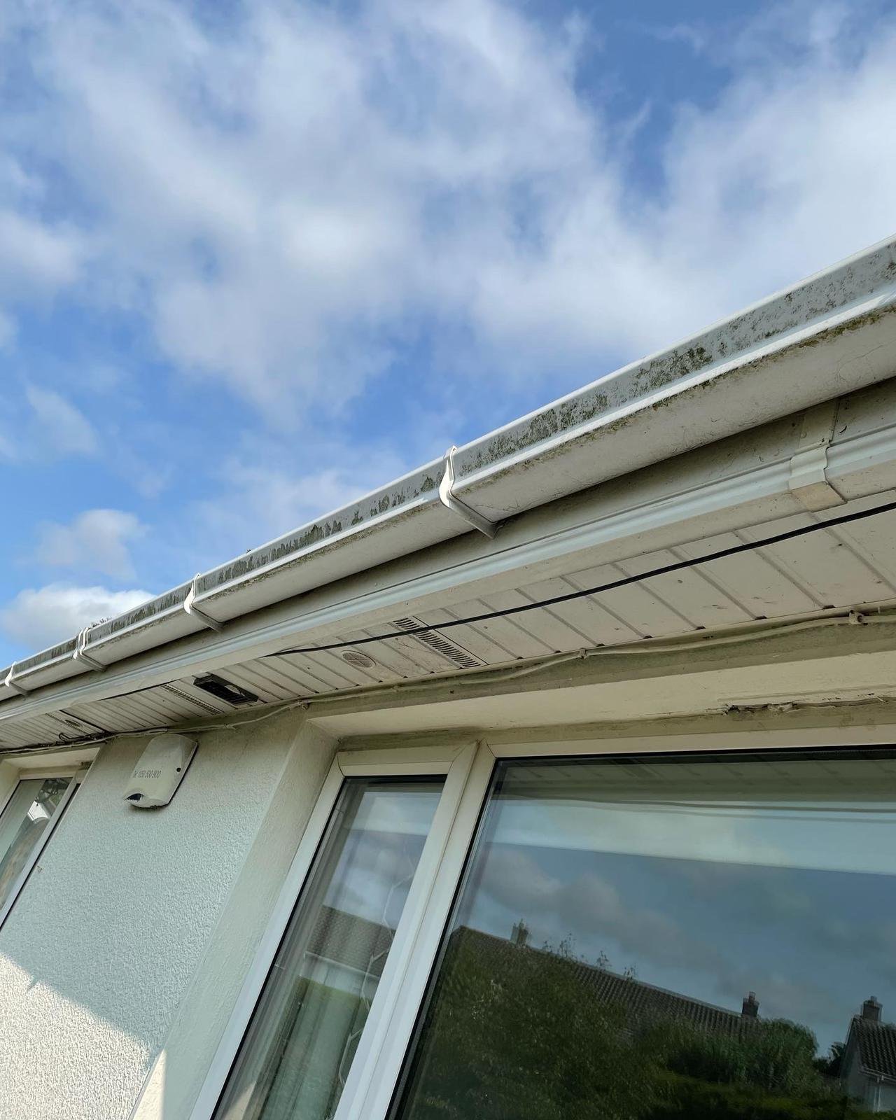 WhatsApp Image 2025-02-17 at 16.37.32_4f3f8638.jpg