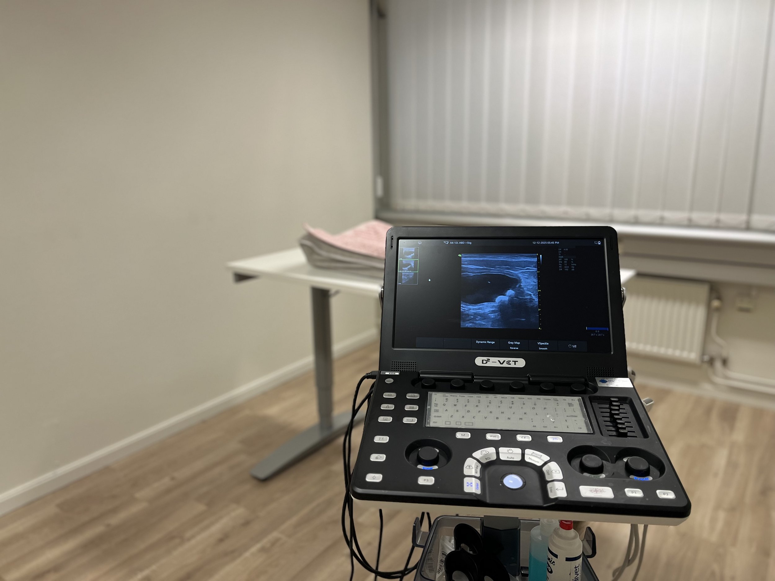 Bilder visar ultraljuds maskinen på kattkliniken