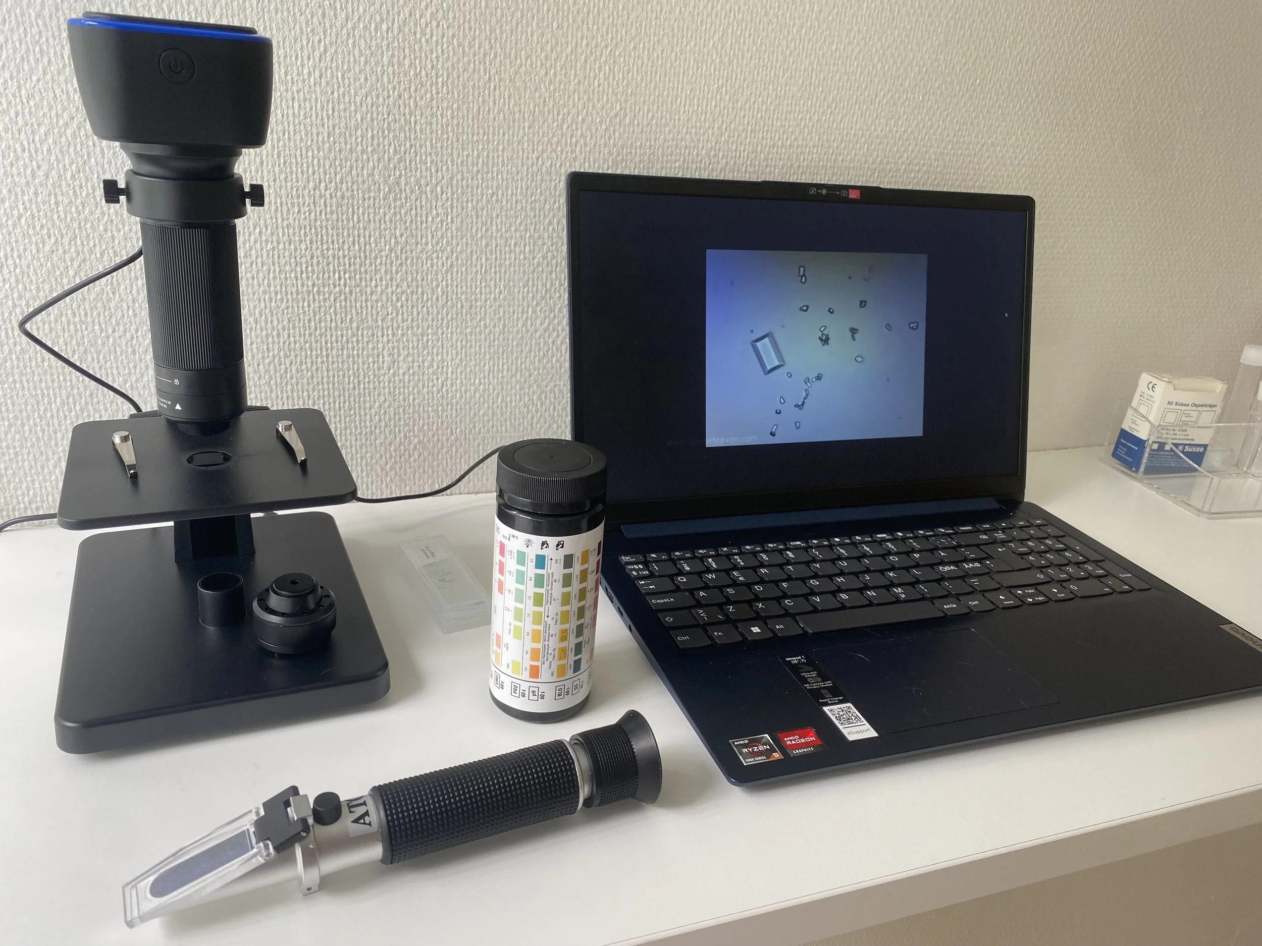 Bilden visar mikroskopisk undersökning urin med kristaller