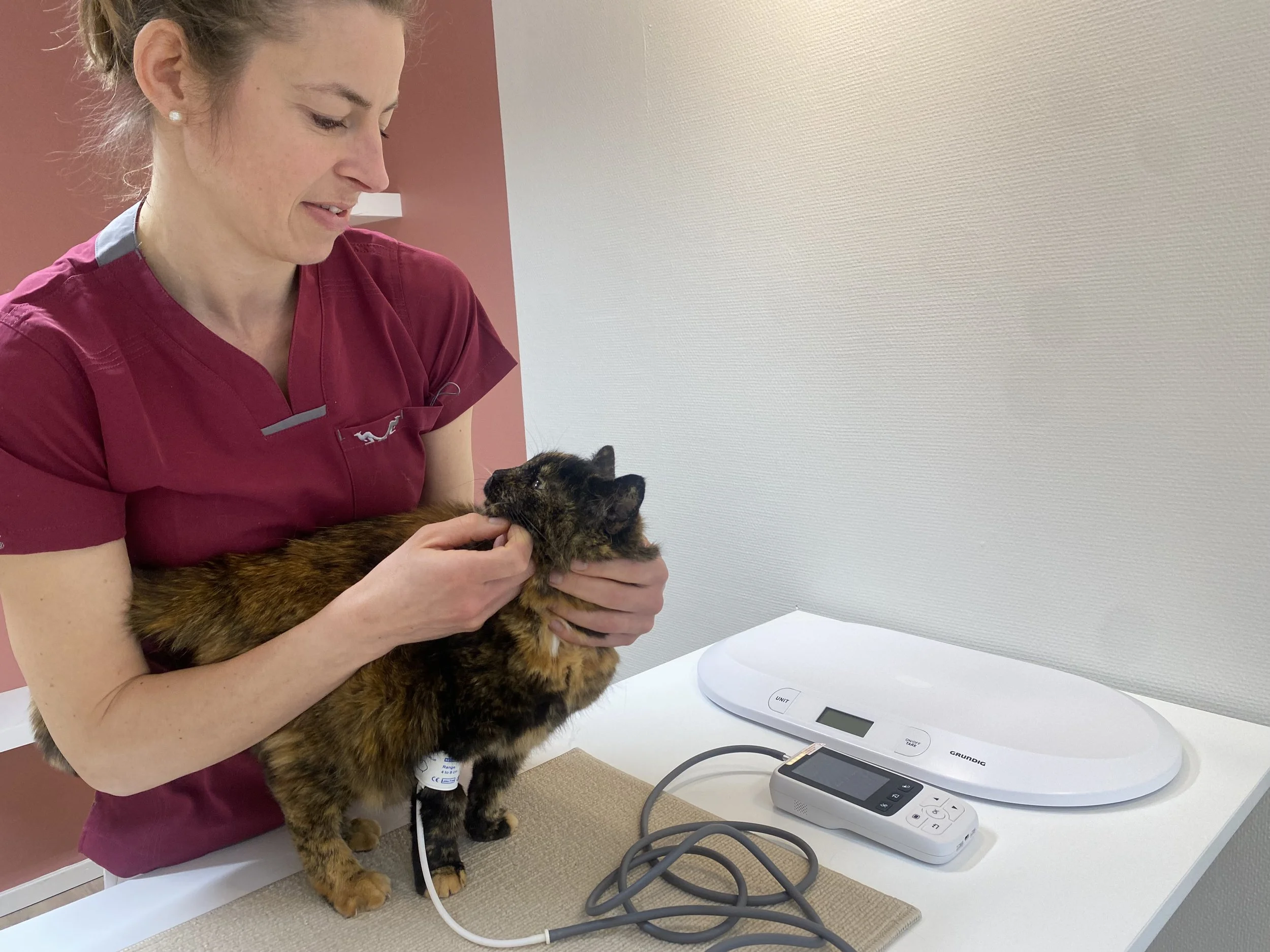 blodtryck mätning görs i lugn och ro