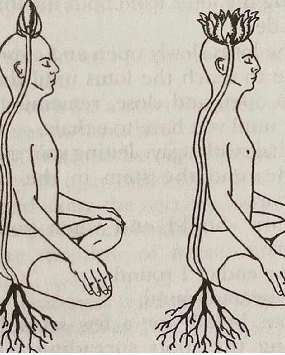 b l o o m i n g 
i n 
l o v i n g
a w a r e n e s s
.
.
.