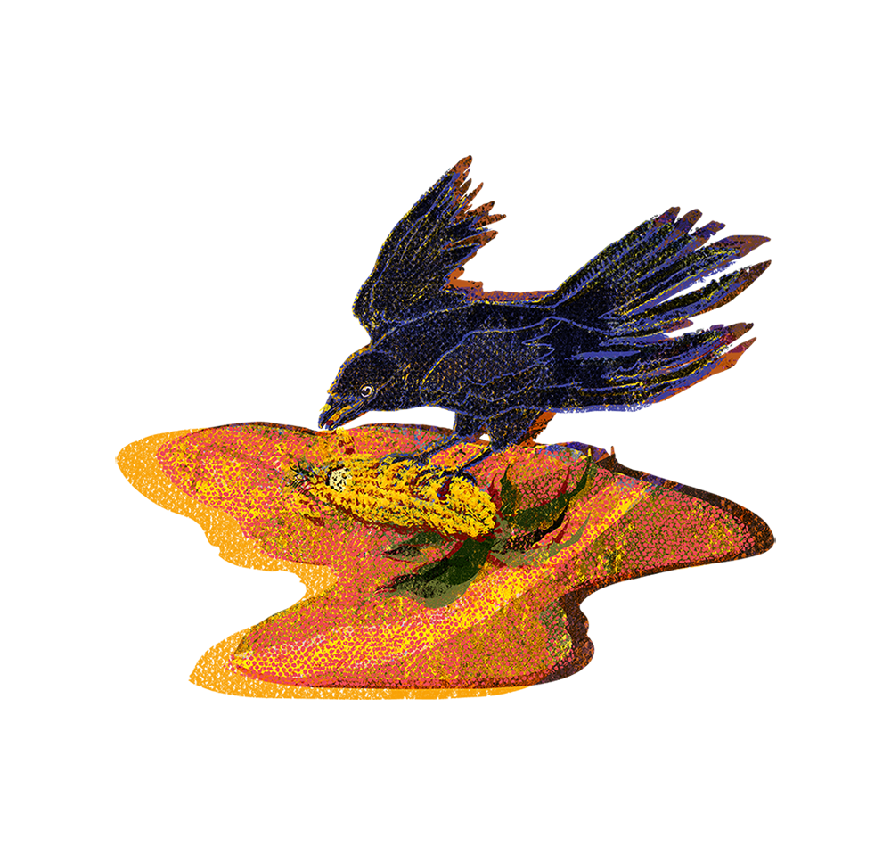 animal illustration
