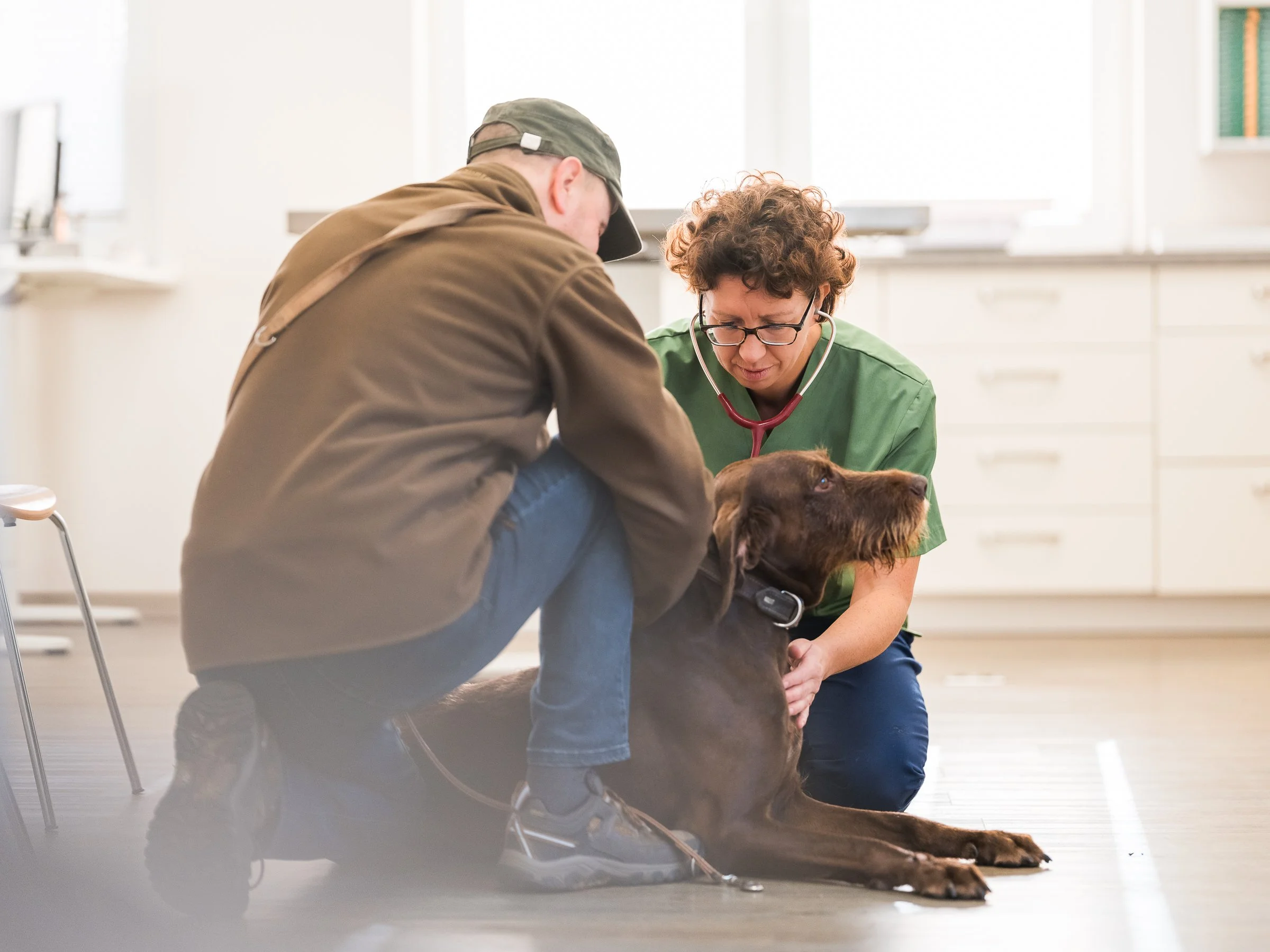 ©Frieda Bruhn 2023 - Dr. Anja Schubert-Schoppmeyer Tierarztpraxis Bad Doberan-6.jpg