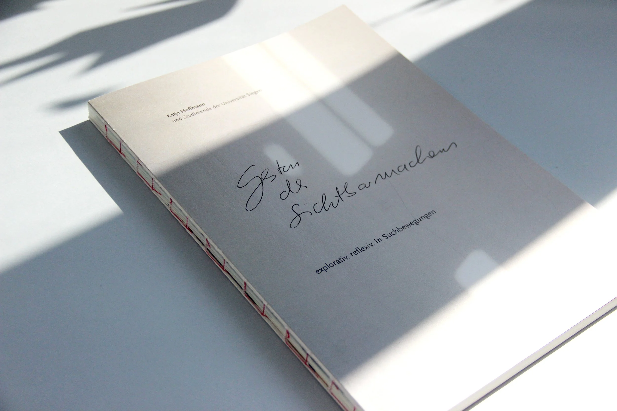 Gesten_des_Sichtbarmachens_Titel_©AnjaNeuefeind.jpg