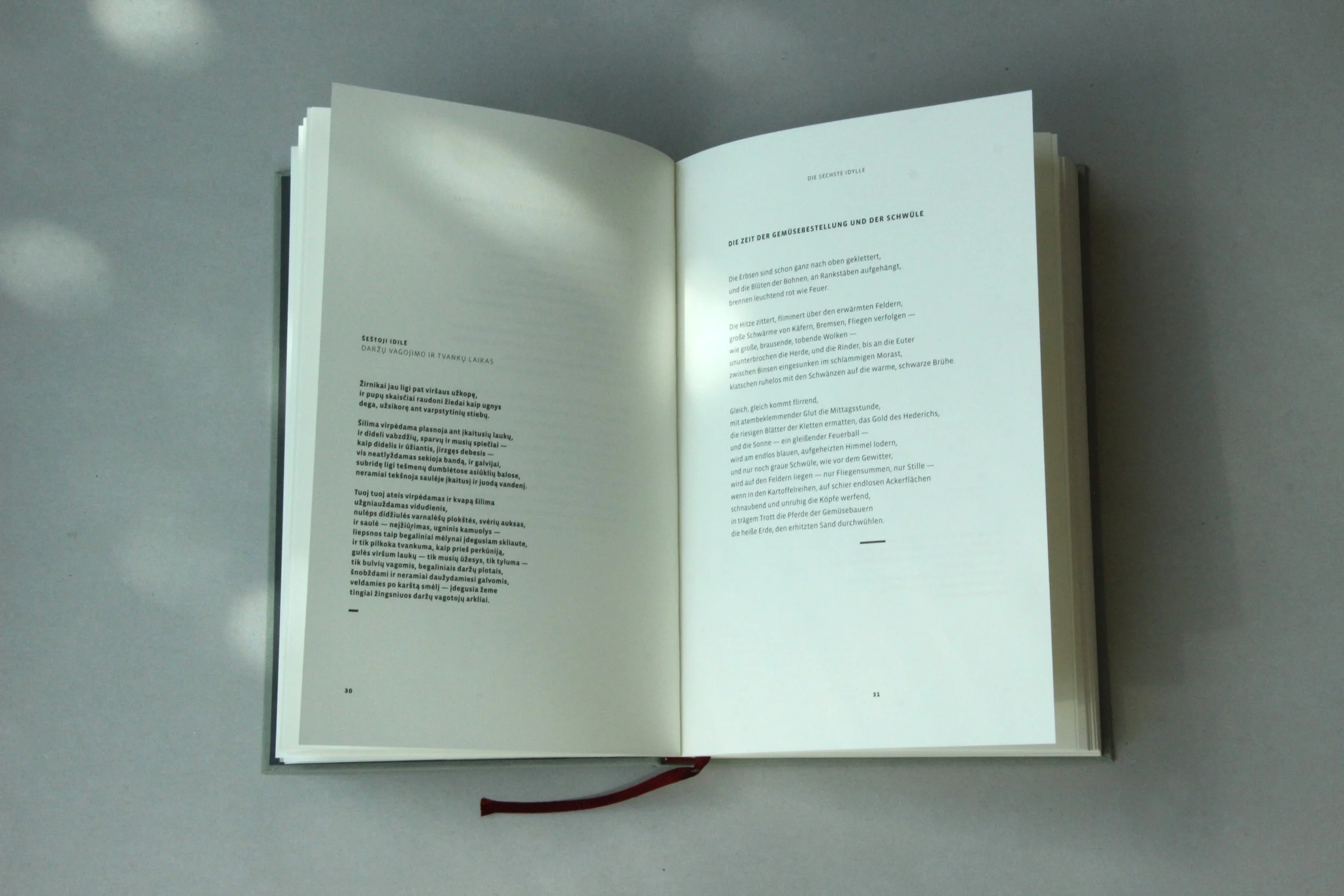 JonasMekas1©EthelStrugalla.jpg