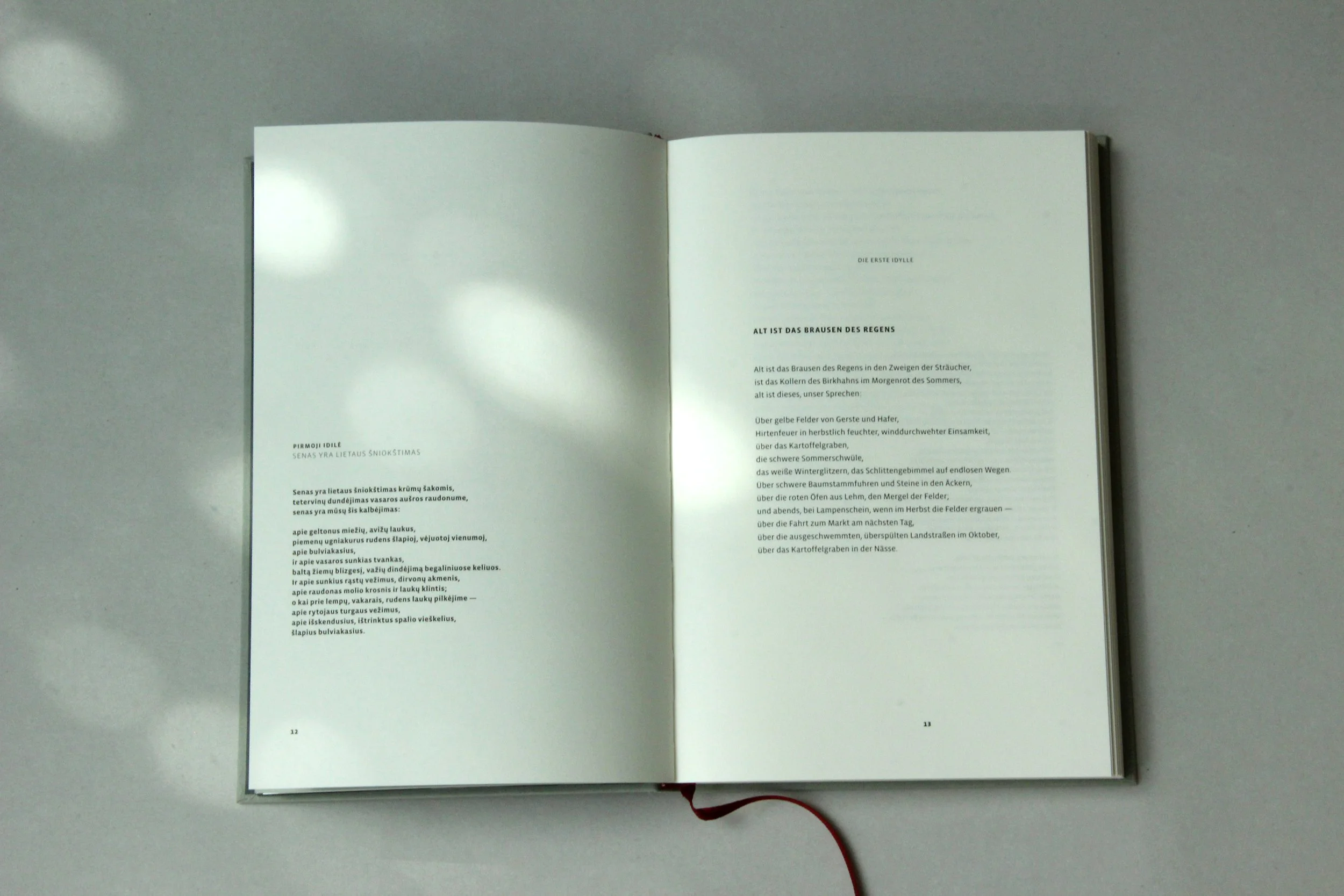 JonasMekas6©EthelStrugalla.jpg