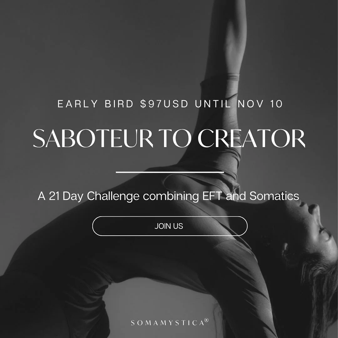 FROM SABOTEUR - CREATOR 

I&rsquo;m not sure about you, but 2025 has been HARD 

As a Chinese Year of the Snake - it has been a deeply internal year that has asked us to shed our skins. Over and over again. 

Next year we are stepping into a Fire Hor