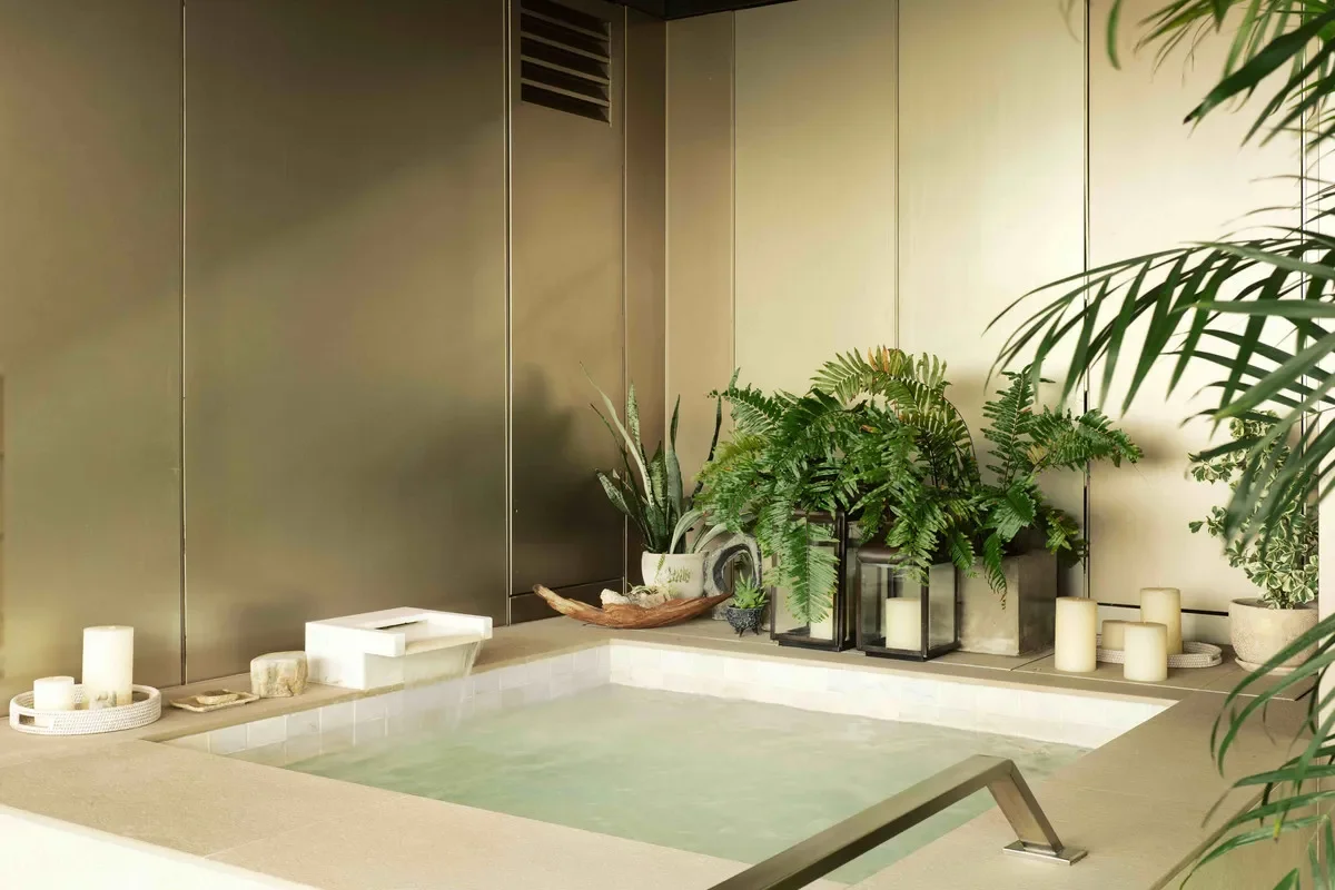 image of the indoor wellness spa