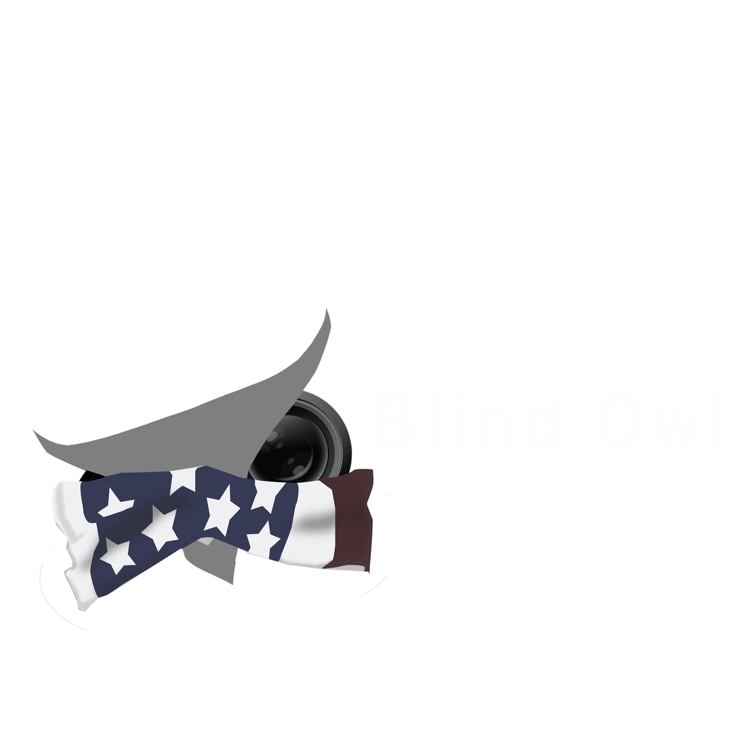 Blind Owl Media