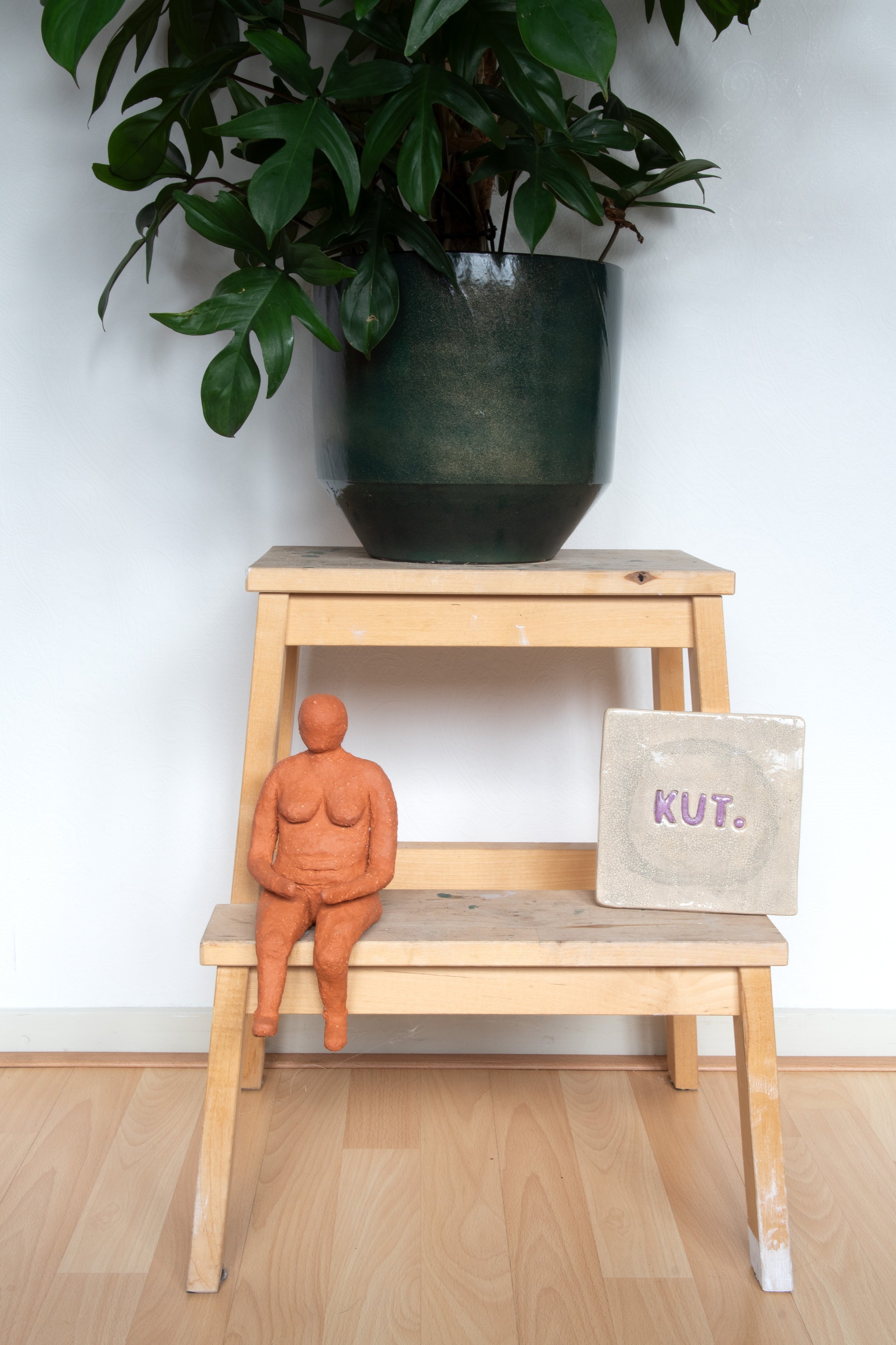 Foto van plant en kunst in psychologiepraktijk VrijZinnig