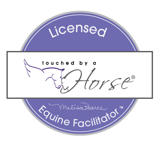 The official badge of a Licensed Equine Facilitator as issued by the Touched by a Horse training body