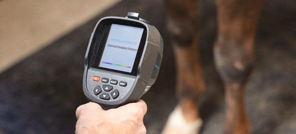 An InstantCryo theral imaging camera takes checks the heat of a horses leg