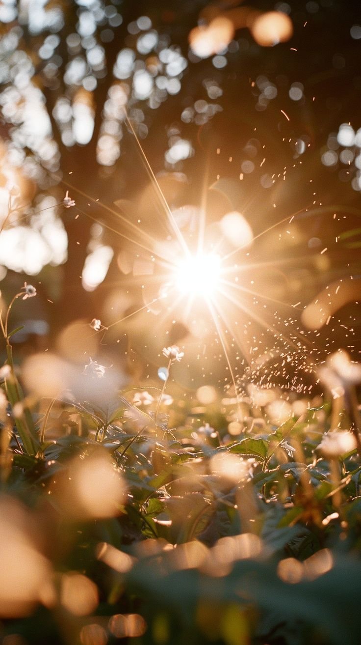 La confusion n’est pas un échec, c’est une transition.