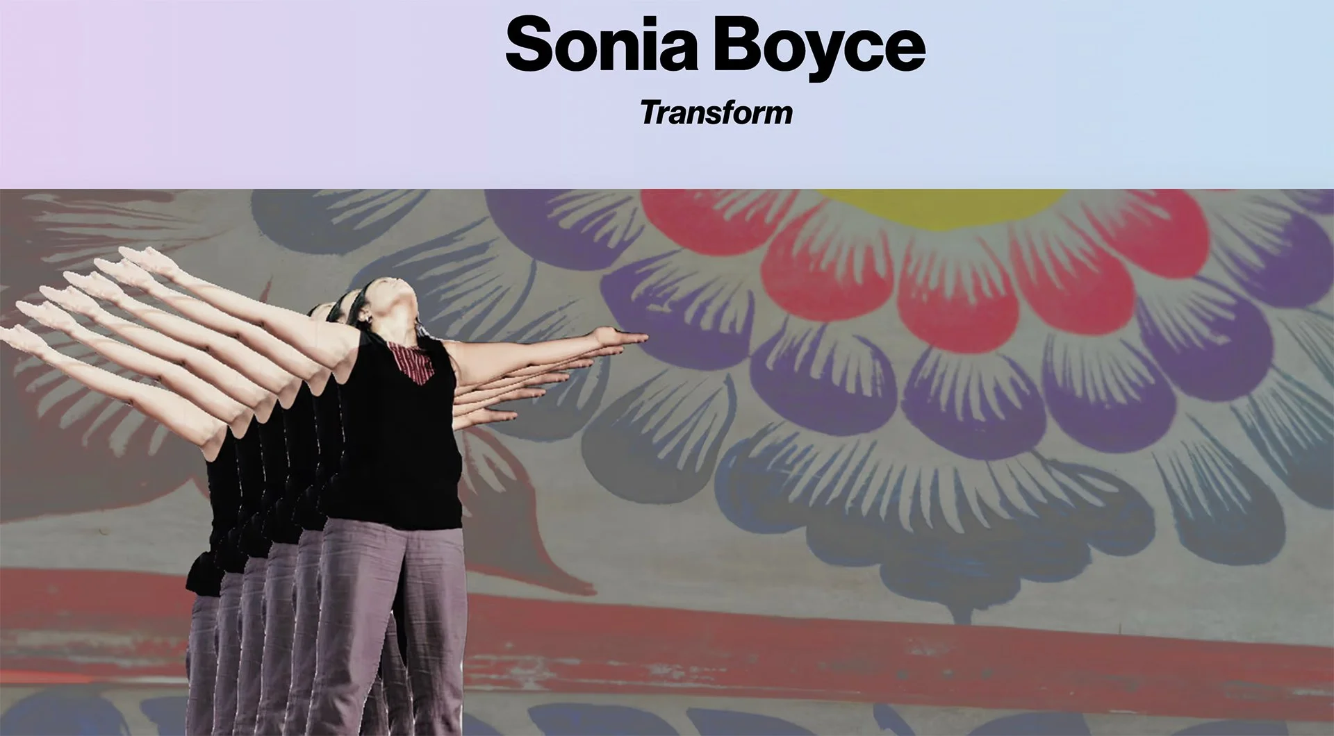 transform.jpg