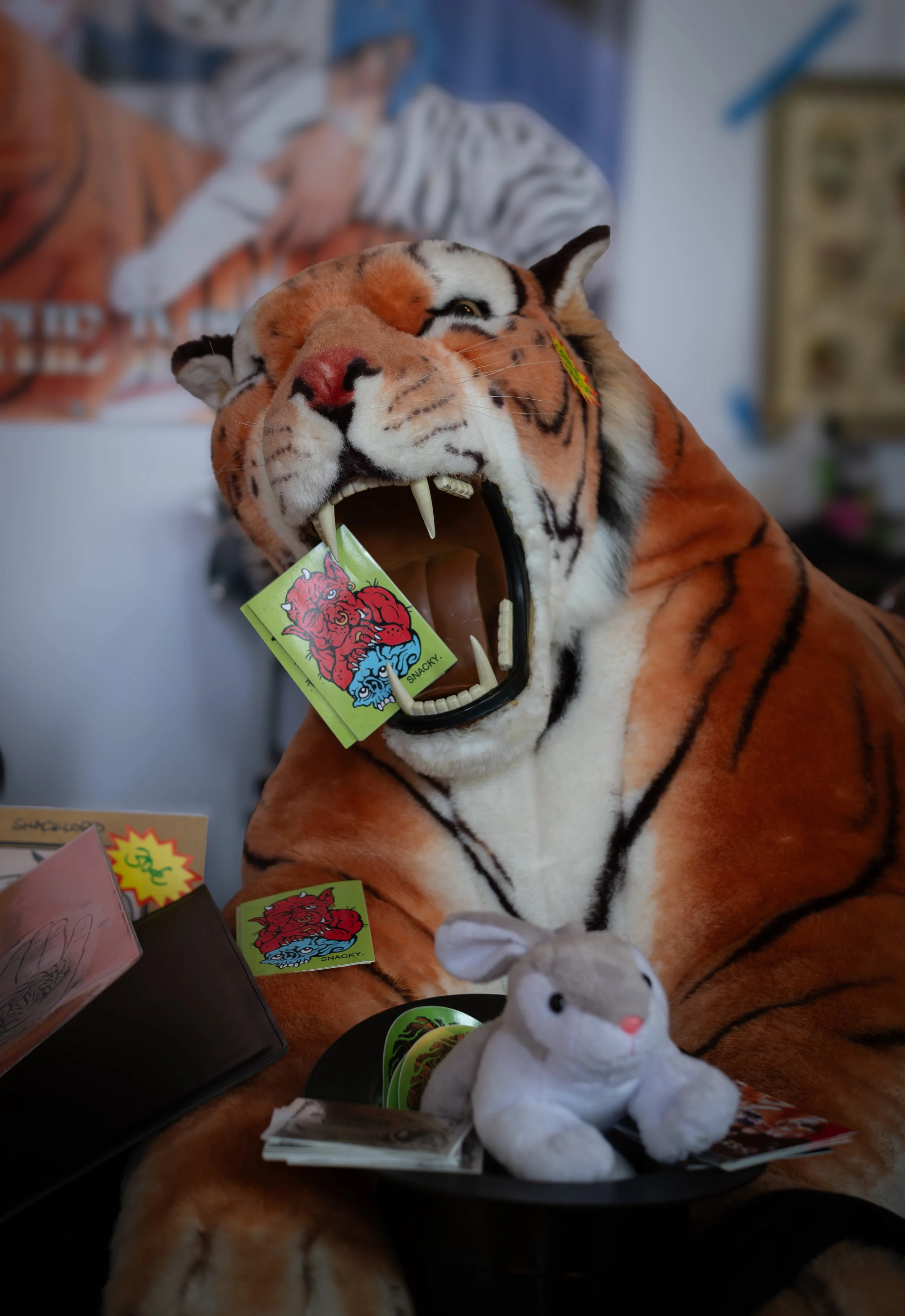 DSCF8599.jpg