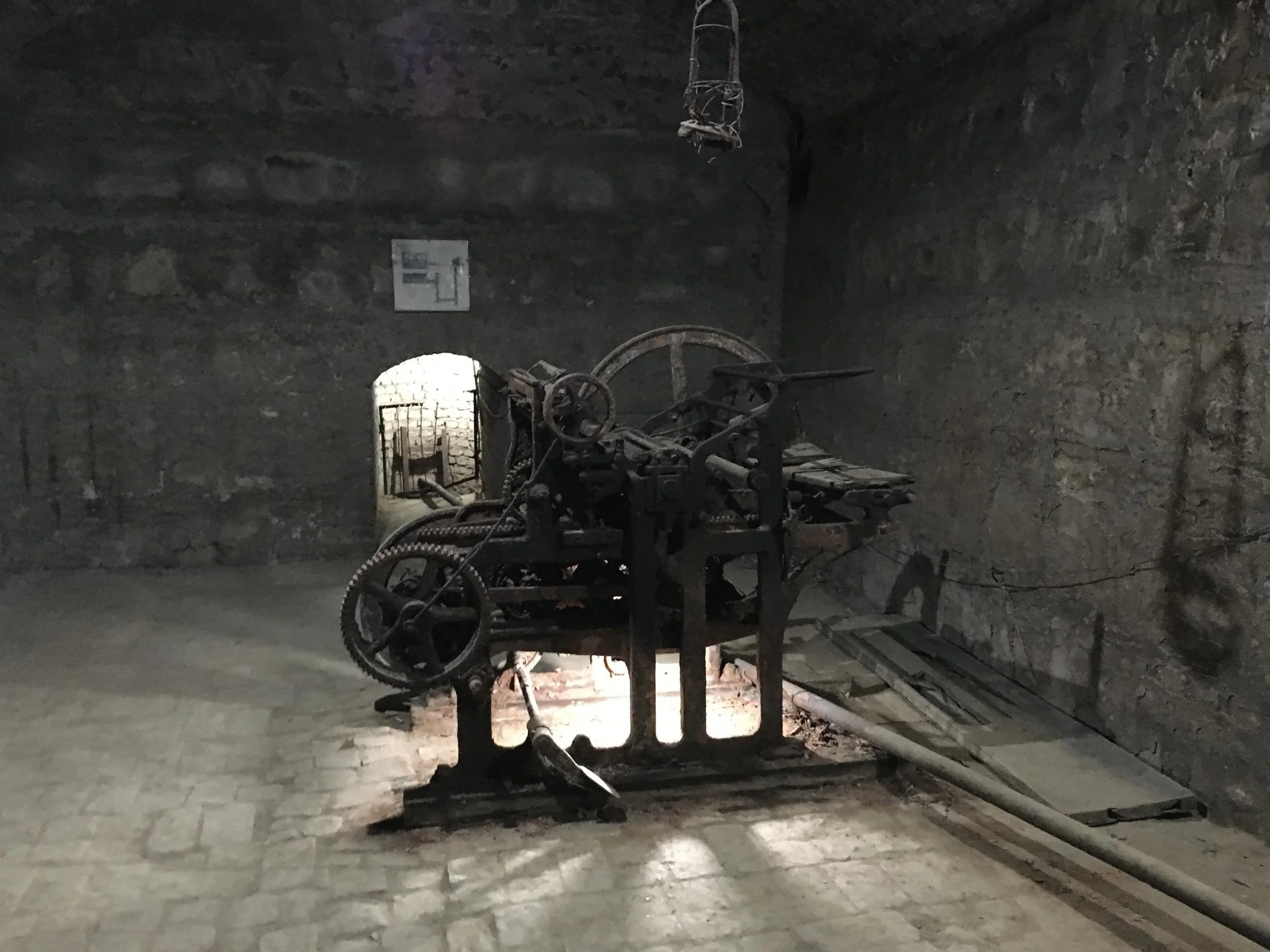 A smuggled printing press used by Bolsheviks to print thousands of propaganda pamphlets calling for the removal of the Tsar in the early 1900s. And a contemplative cow