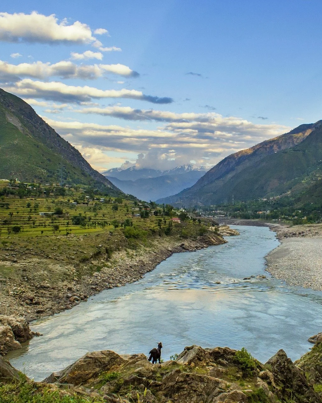 Indus.jpg