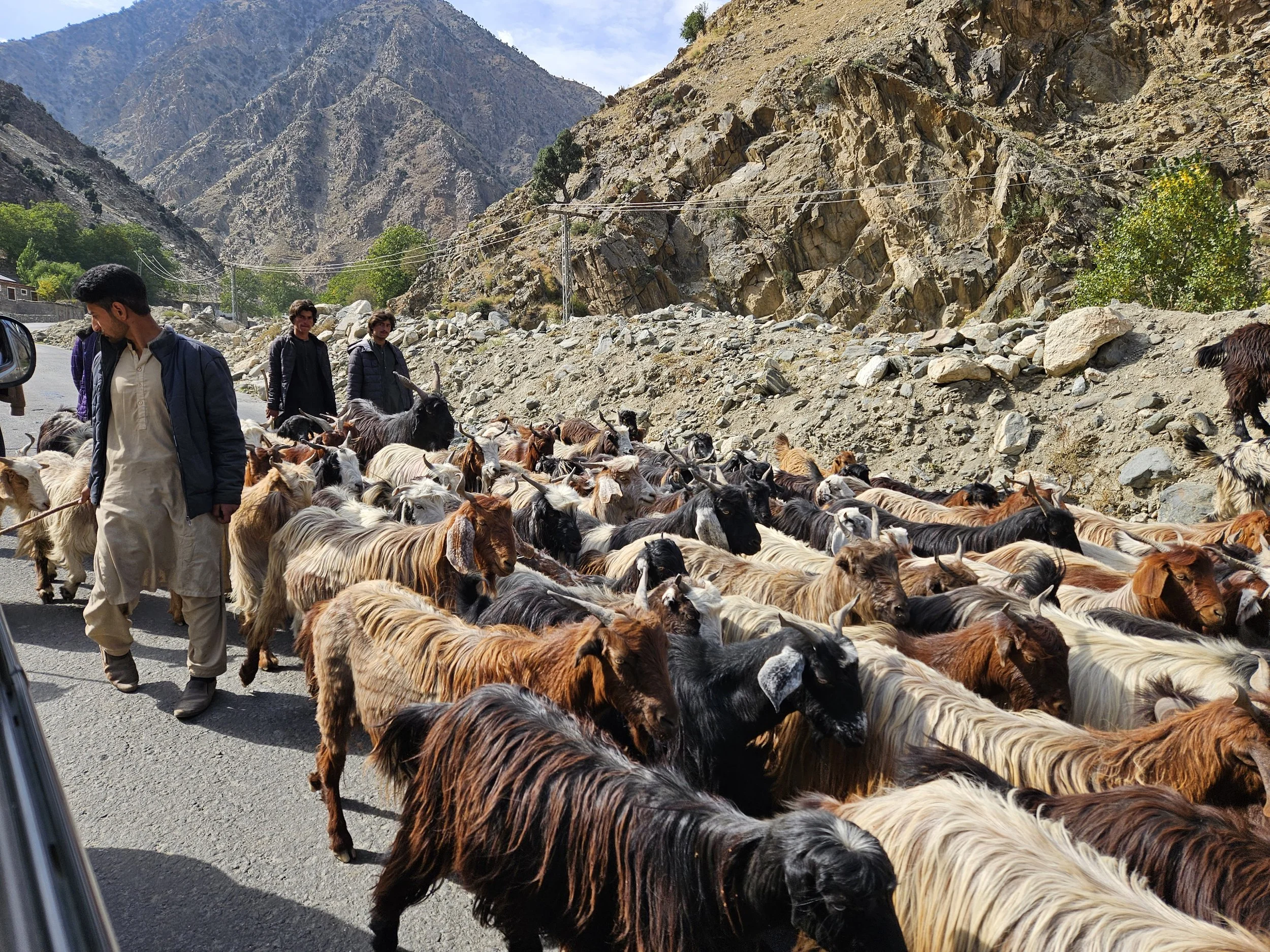 Karakorum hw loomad.jpg