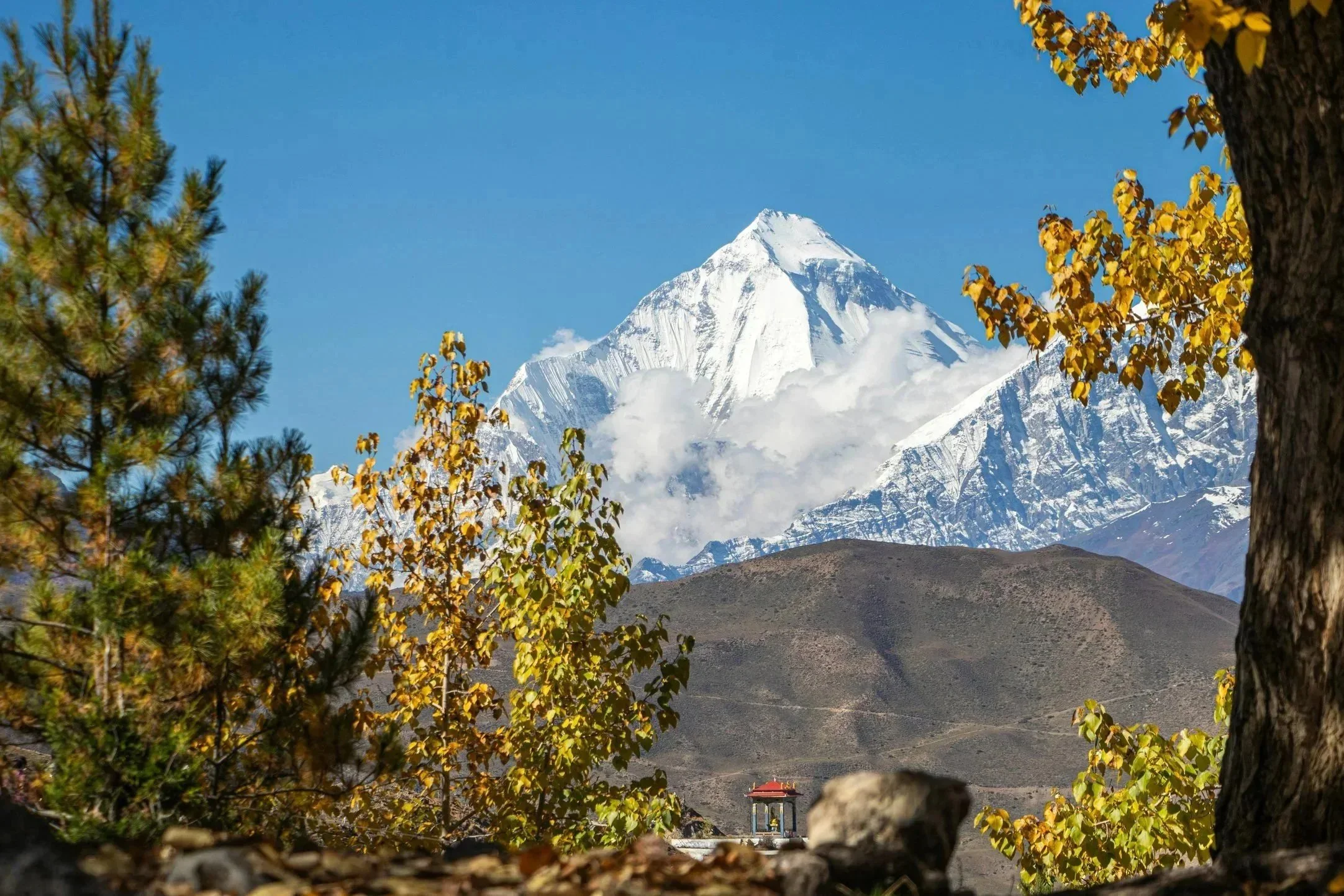 pexels-roshan-pokharel-2147877215-29974369.jpg