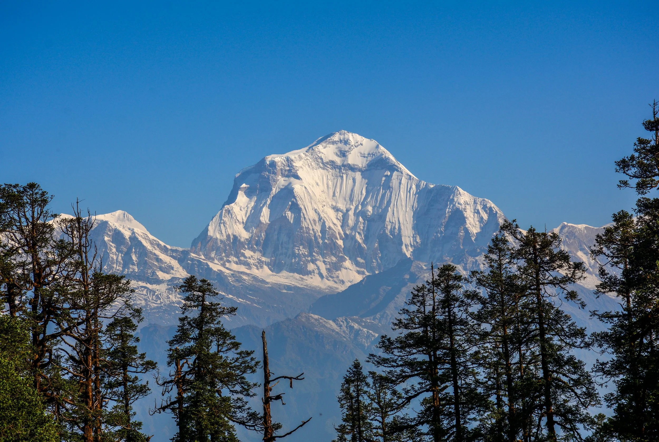 Dhaulagiri_Peak.jpg