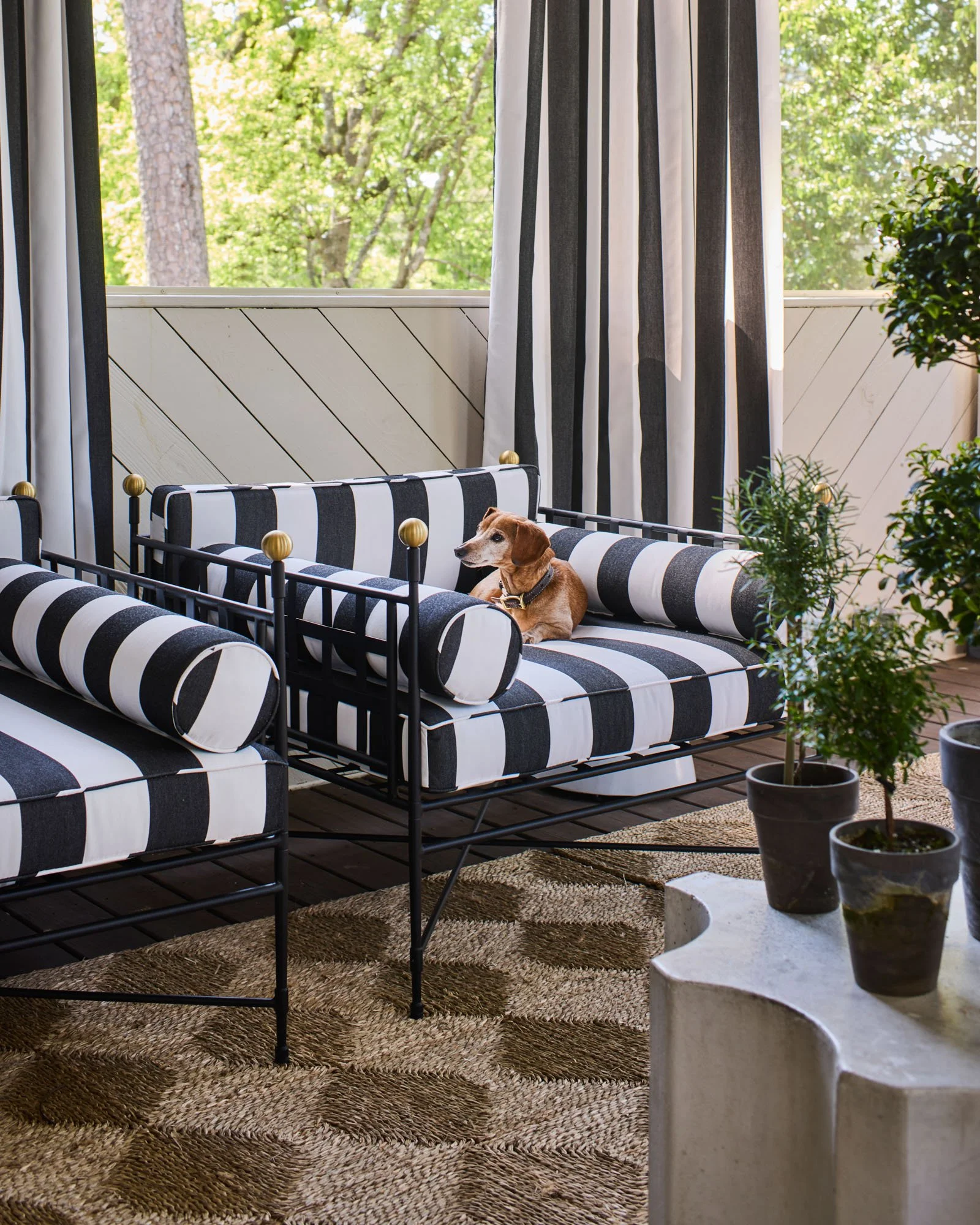 RB Wellington1604.jpg