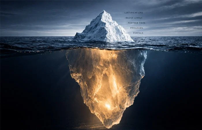 THE UNSPOKEN TRUTH ABOUT VENDOR PARTNERSHIPS