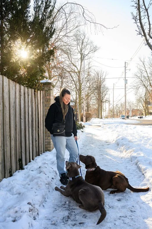 Alison stands with the sun to her back in a black jackey and light blue jeans. Two labs lay attentively at her feet