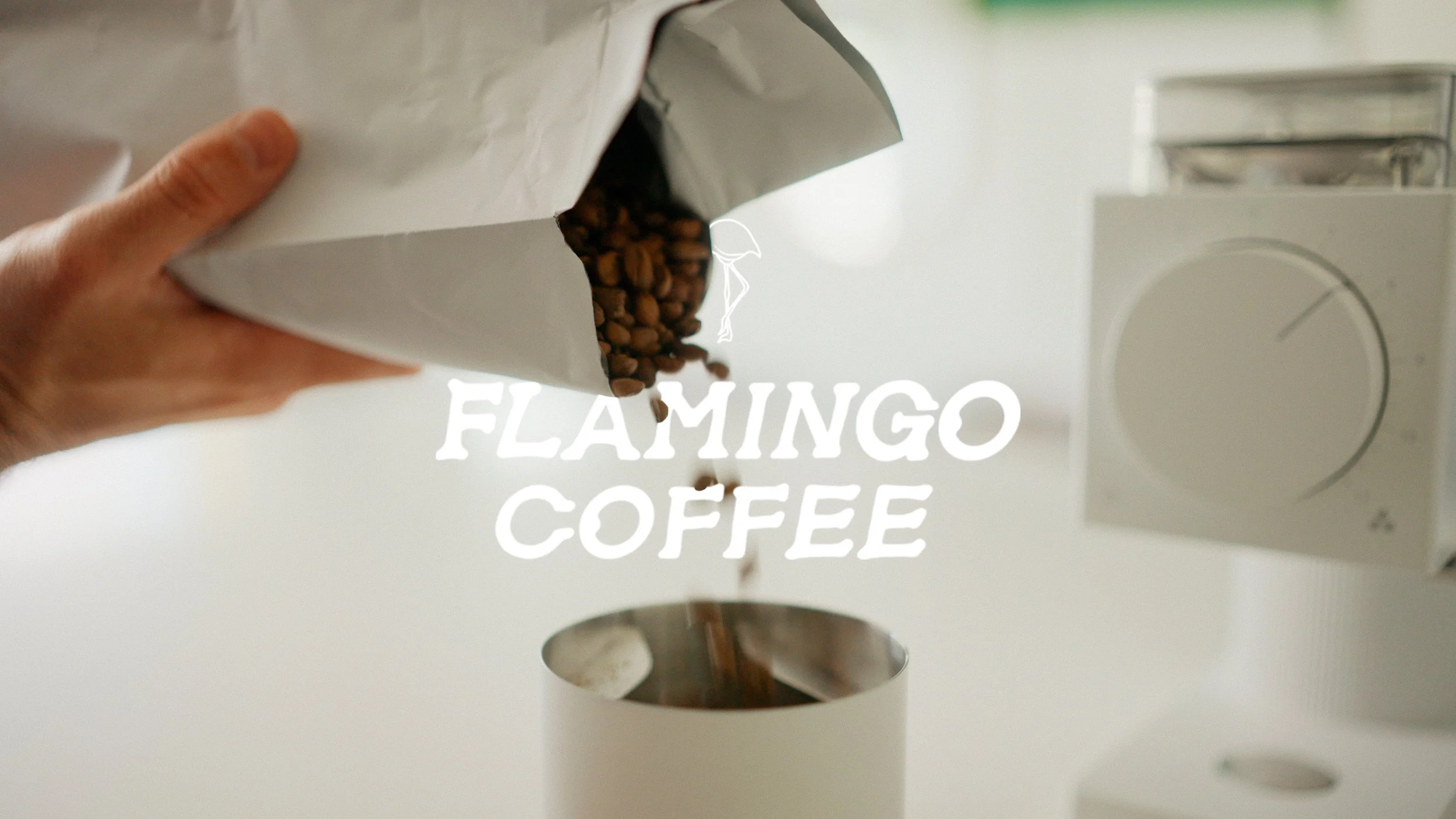 Flamingo Coffee x Coro