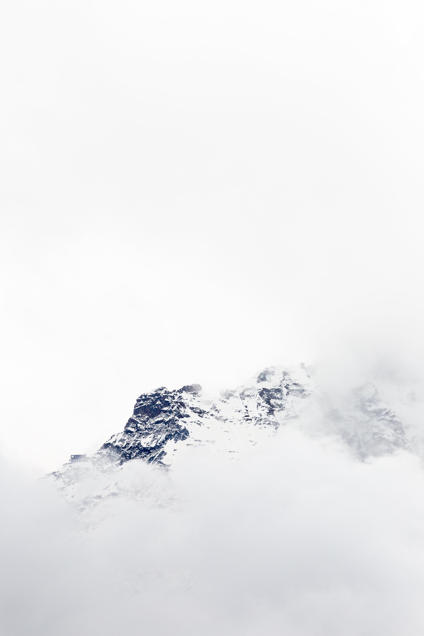 Watcher in the Mist