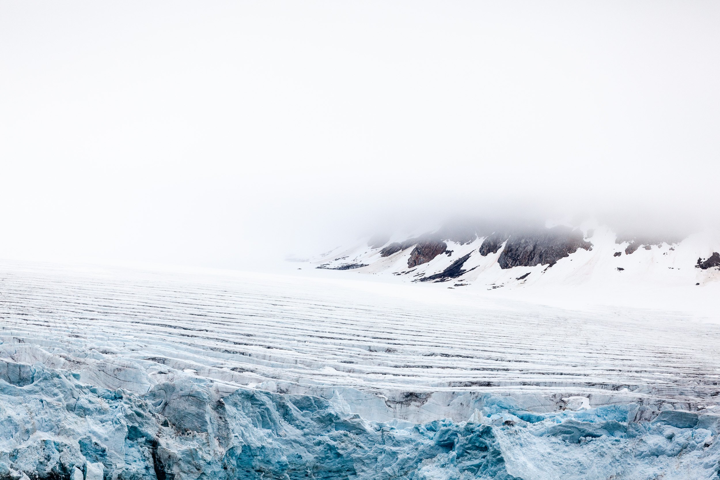 Silent Majesty