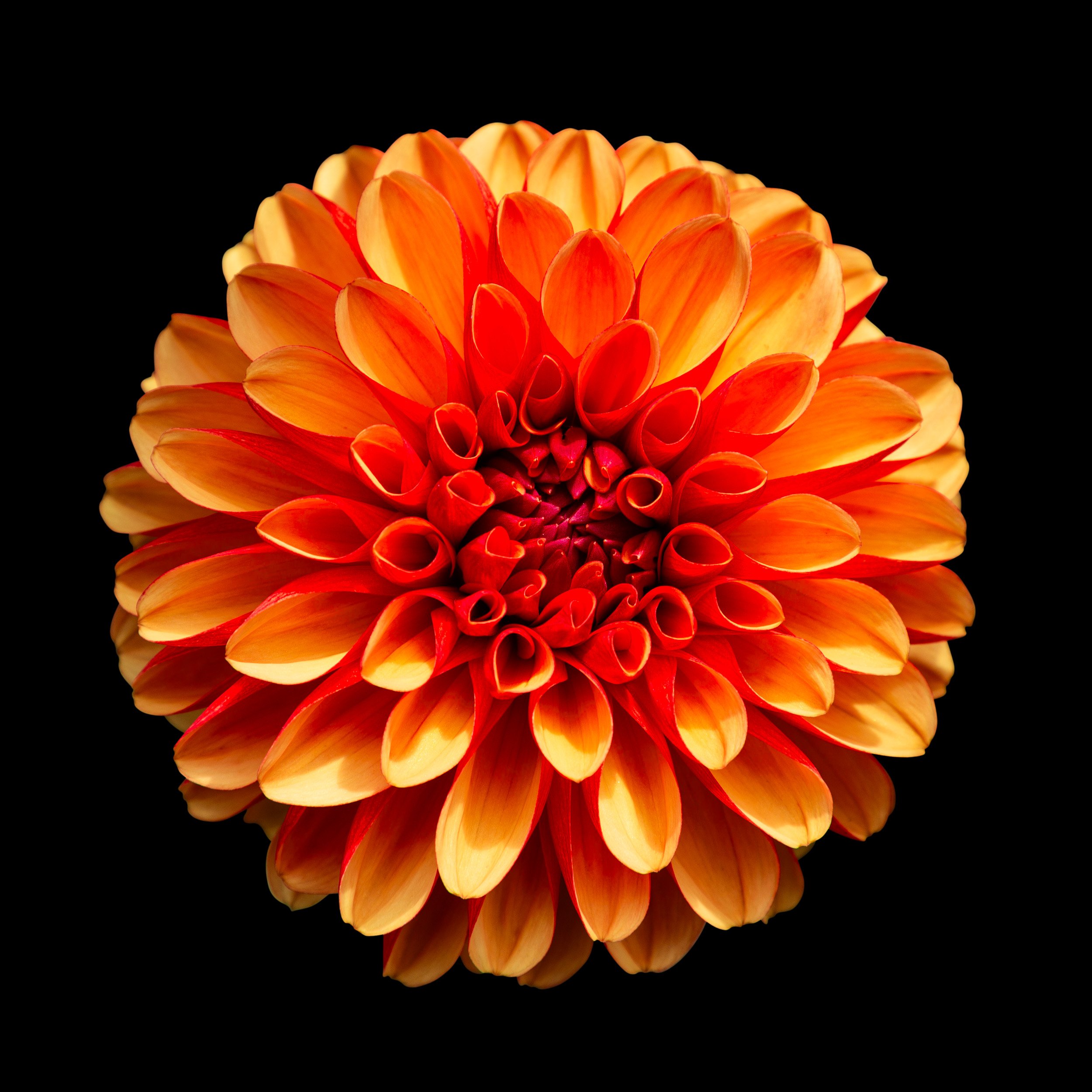 Solara