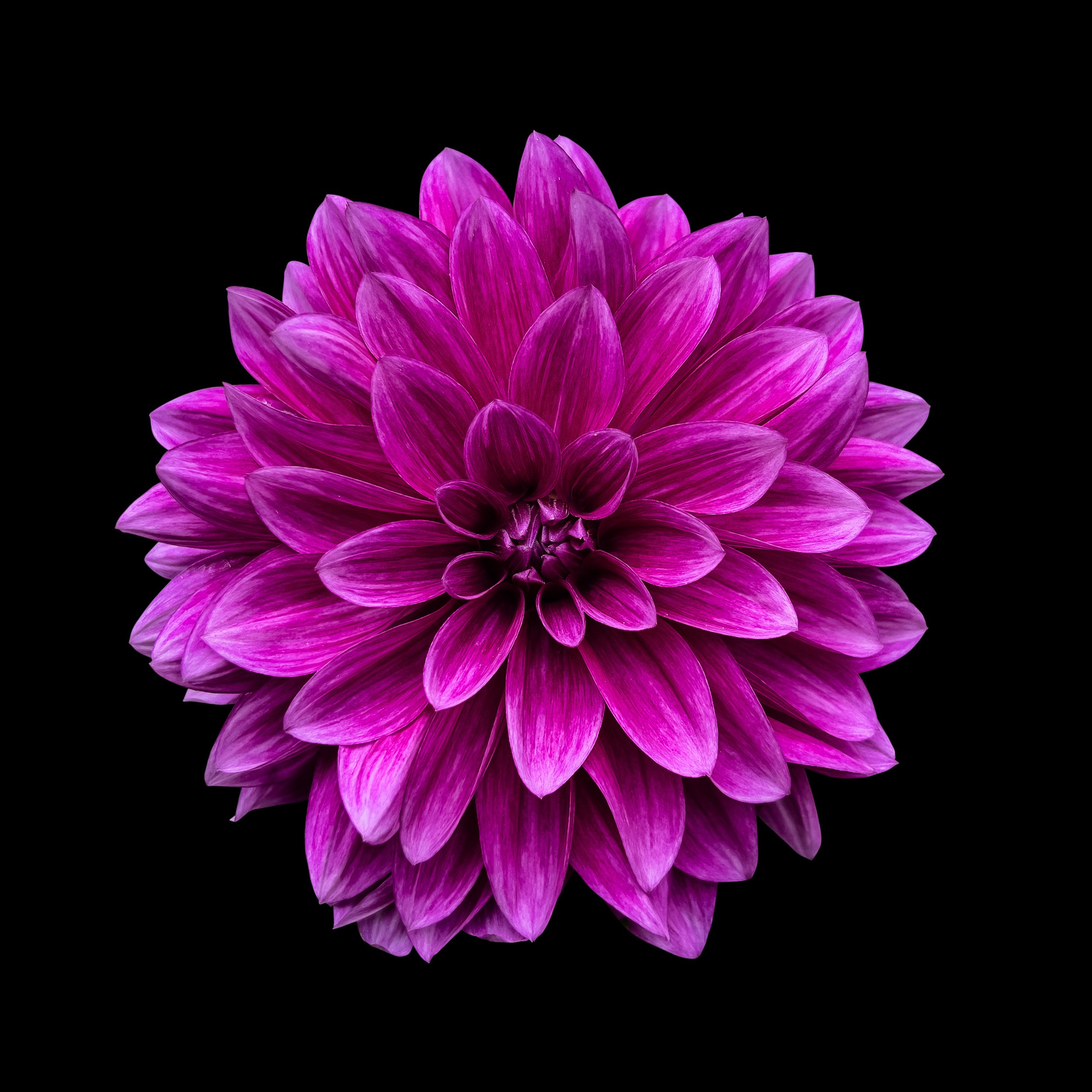 Luminara