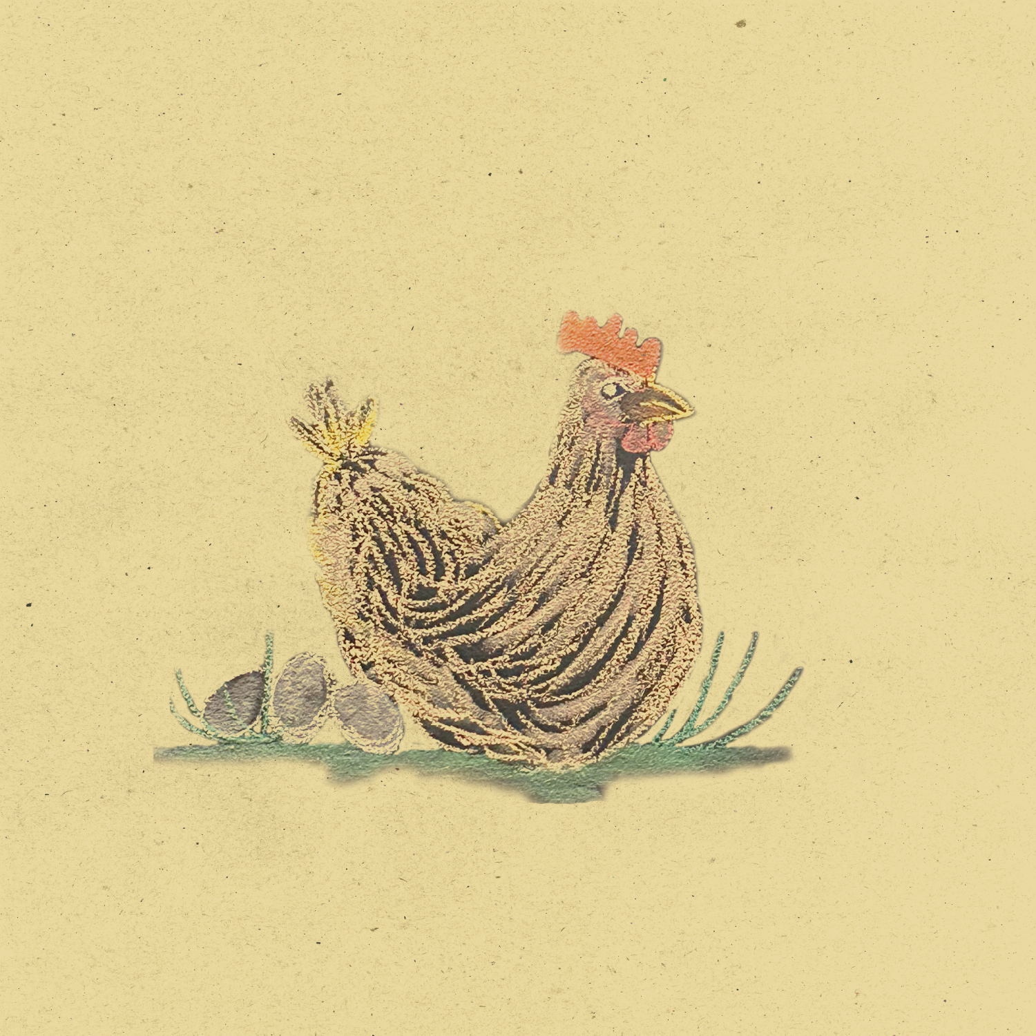 chalk chicken icon.png