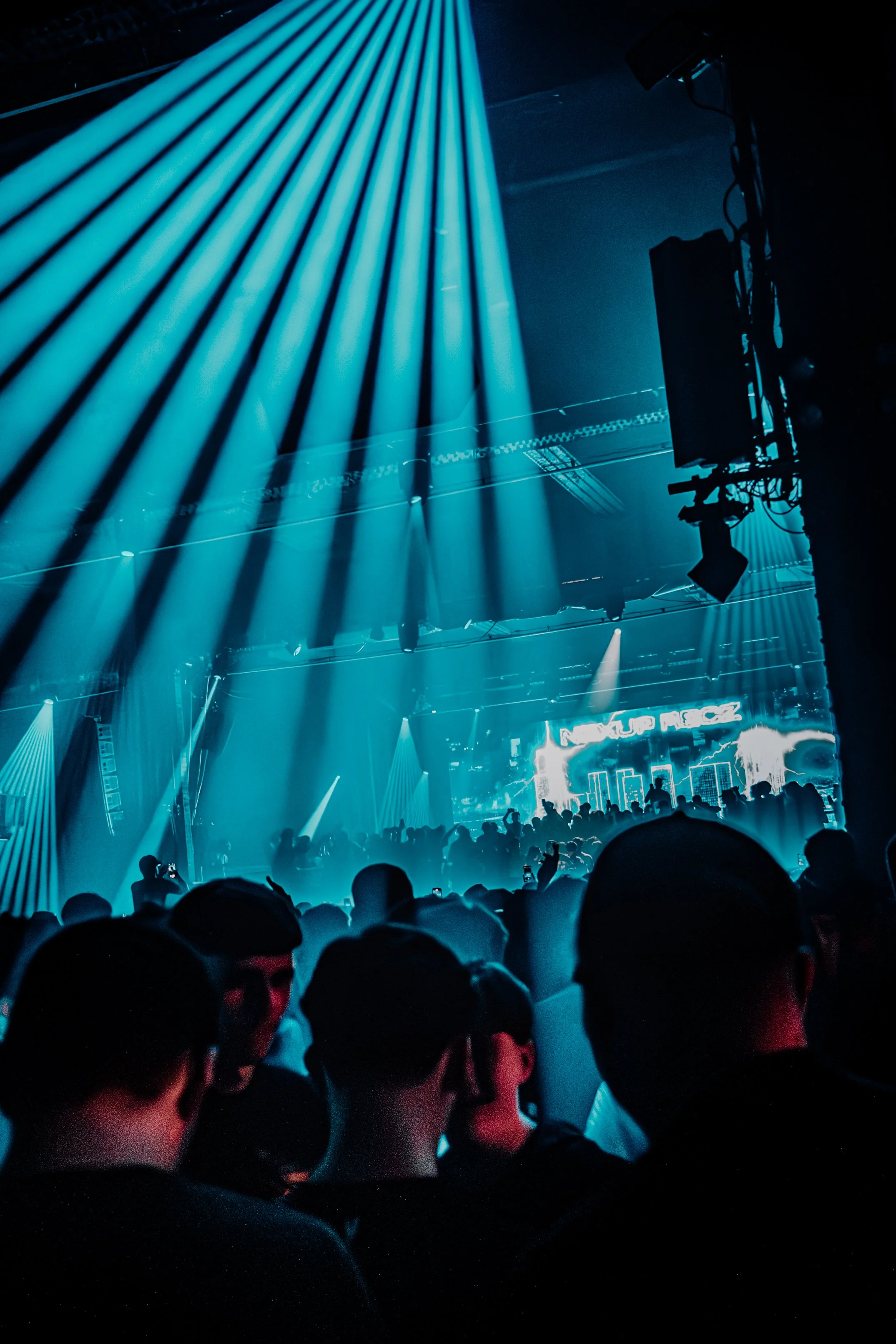 Crowd of people at a concert with blue stage lighting and silhouettes of audience members.