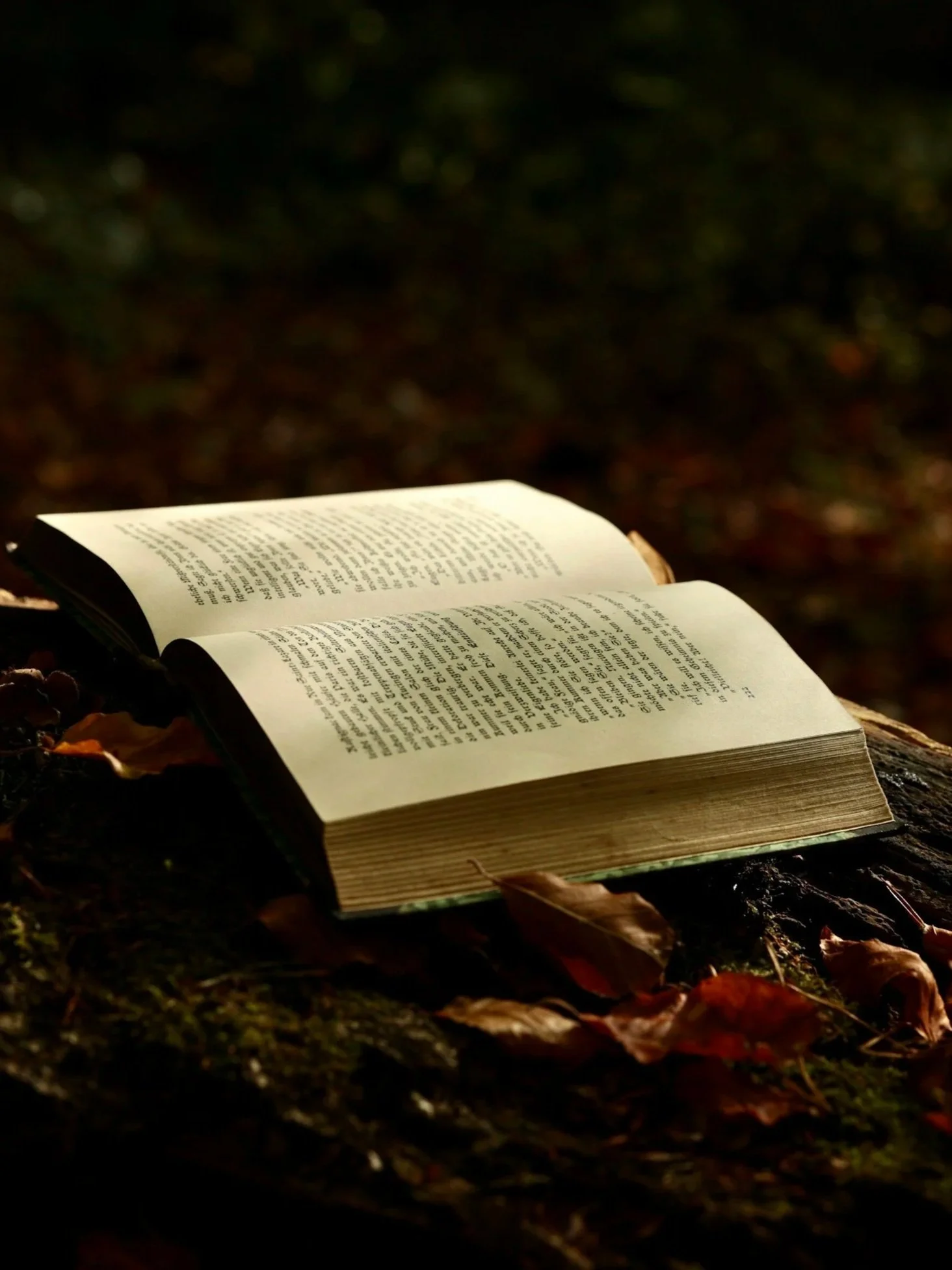 An open book resting on soil with fallen leaves, illuminated by sunlight in a natural outdoor setting.